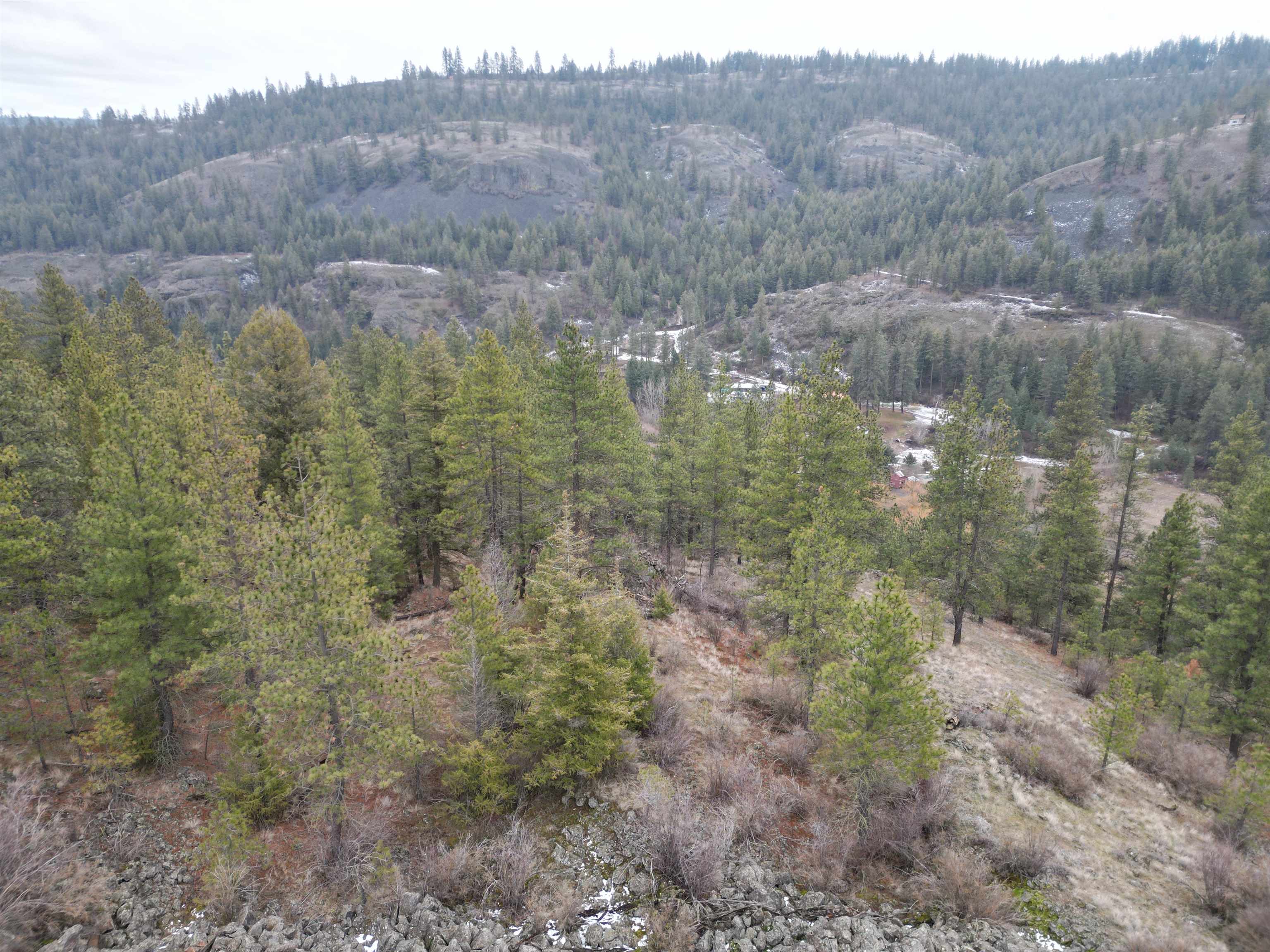 33055 Hawk Creek Ranch Rd N Rd - Photo 10