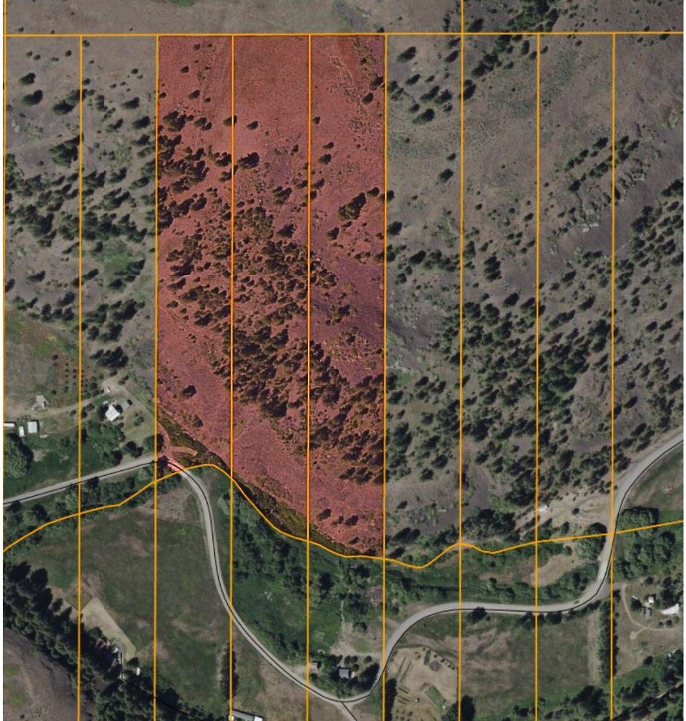 33055 Hawk Creek Ranch Rd N Rd - Photo 12