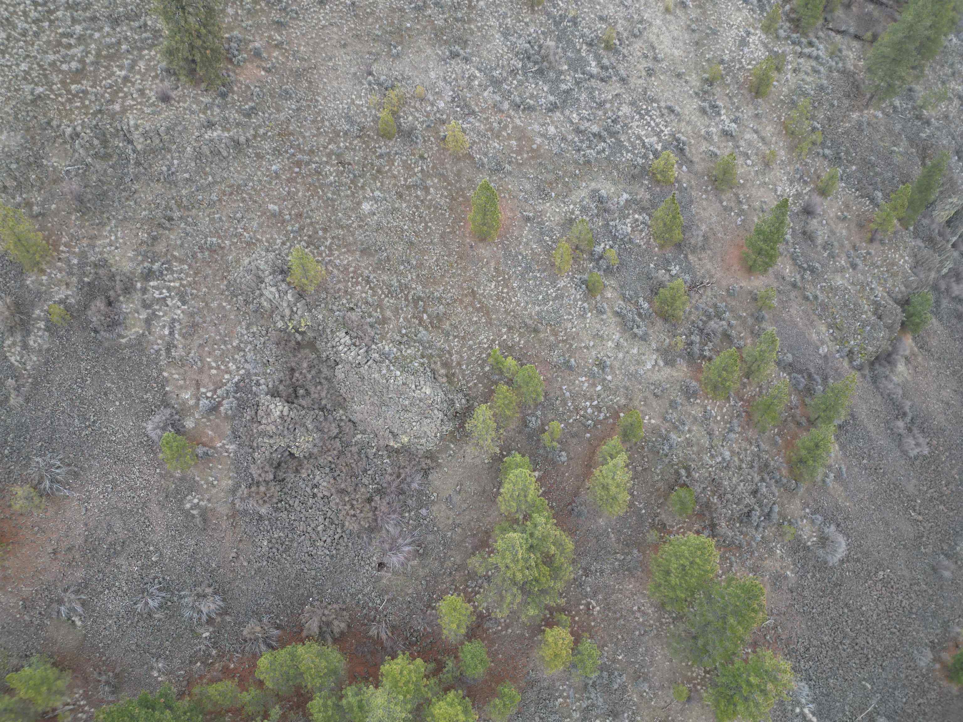 33055 Hawk Creek Ranch Rd N Rd - Photo 15