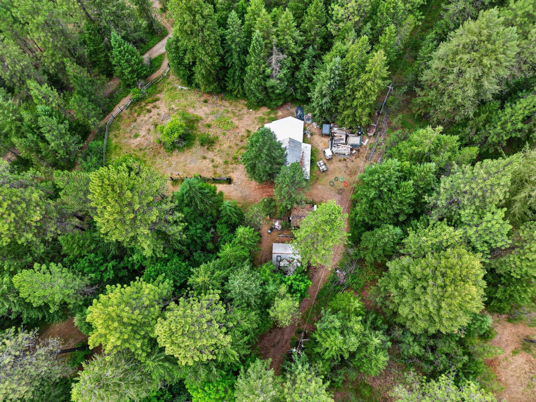 4421 E Chattaroy Rd - Photo 8
