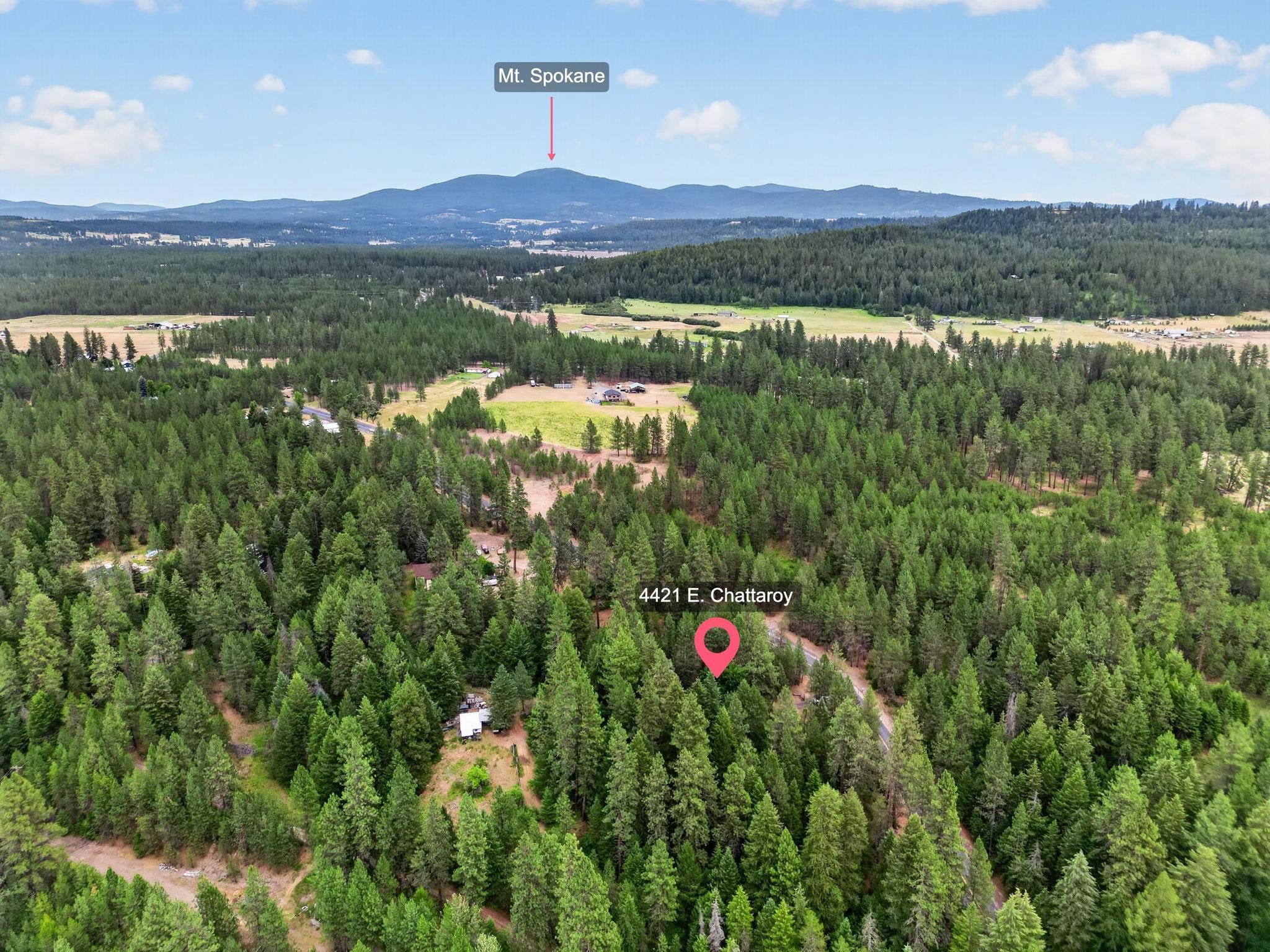 4421 E Chattaroy Rd - Photo 12