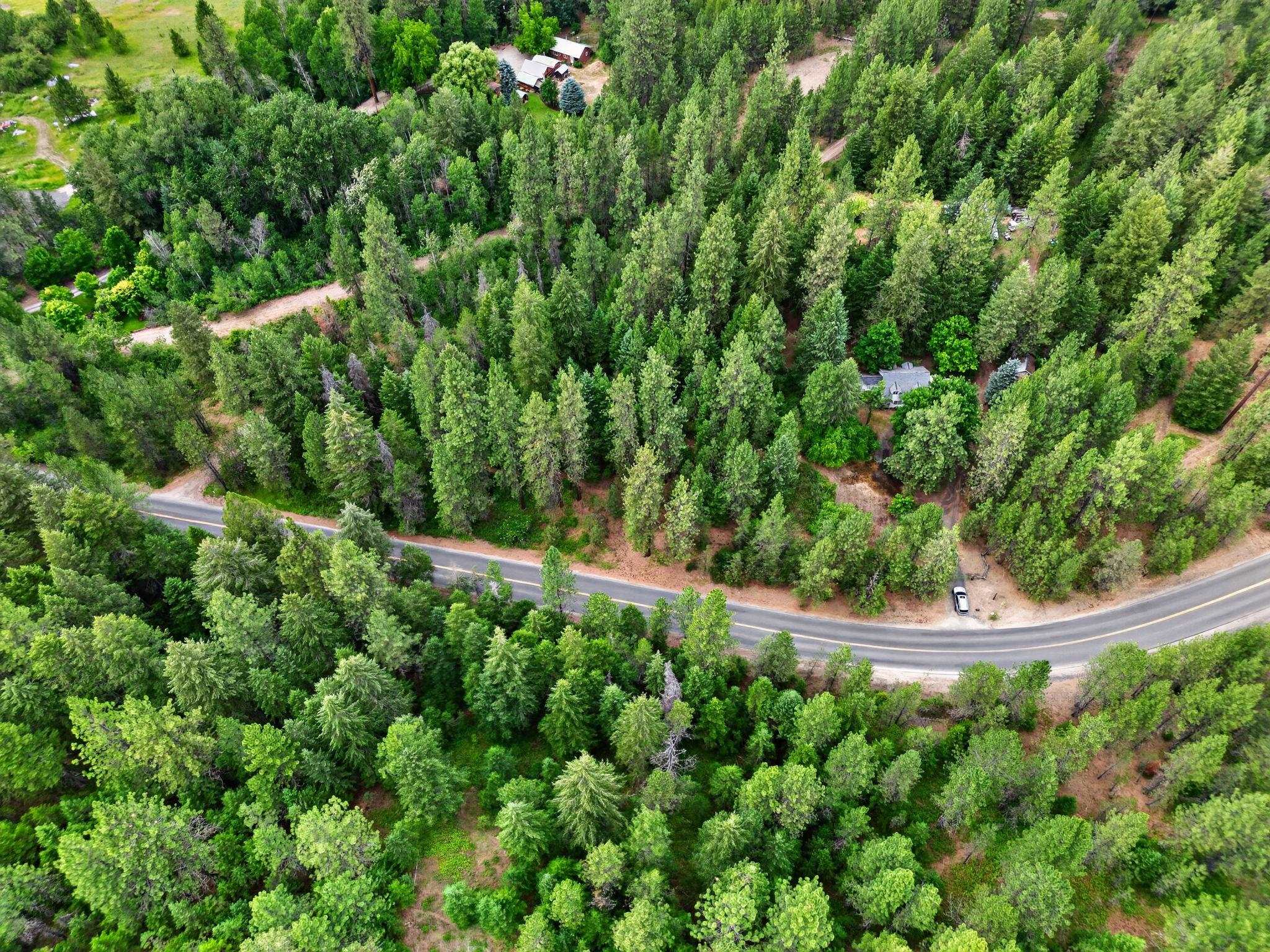4421 E Chattaroy Rd - Photo 43