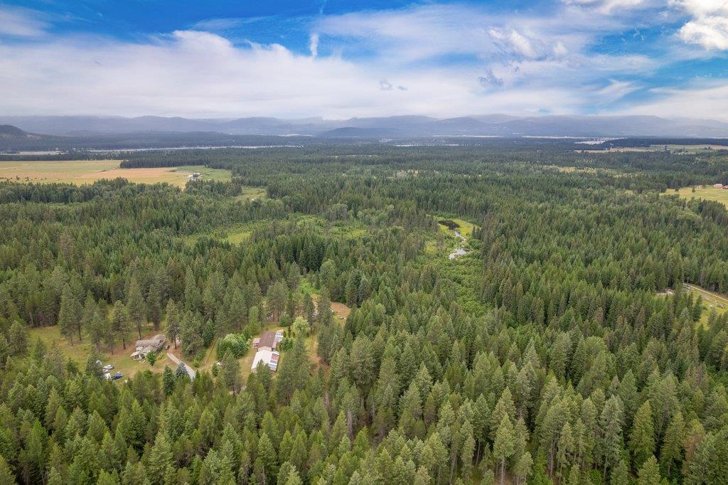 334 Sanham Ln - Photo 49