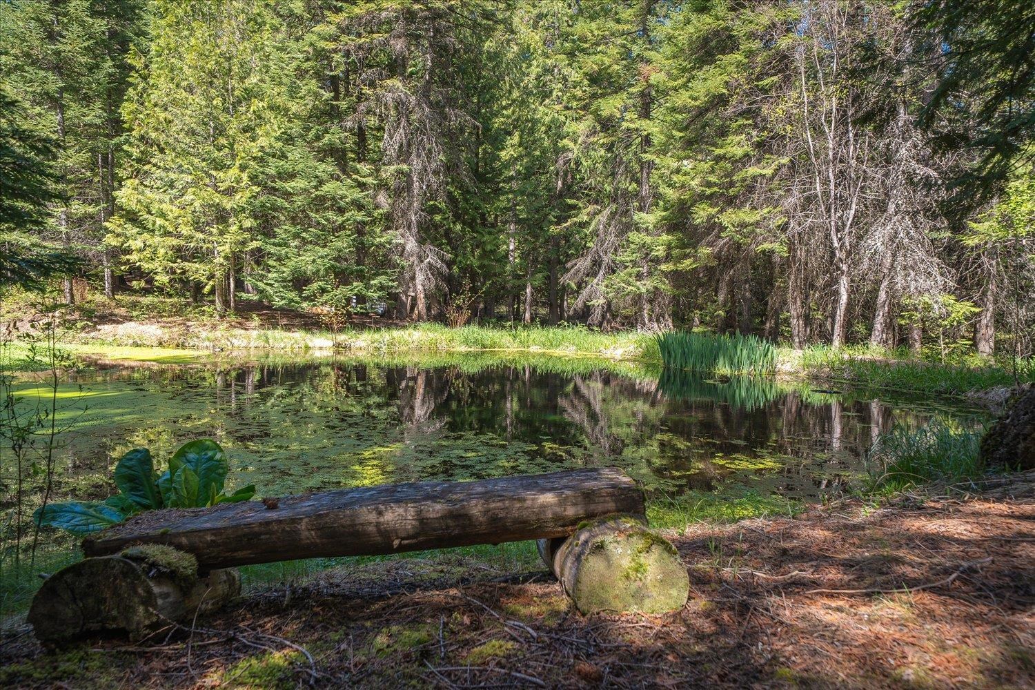 1601 E Eloika Lake Rd - Photo 33