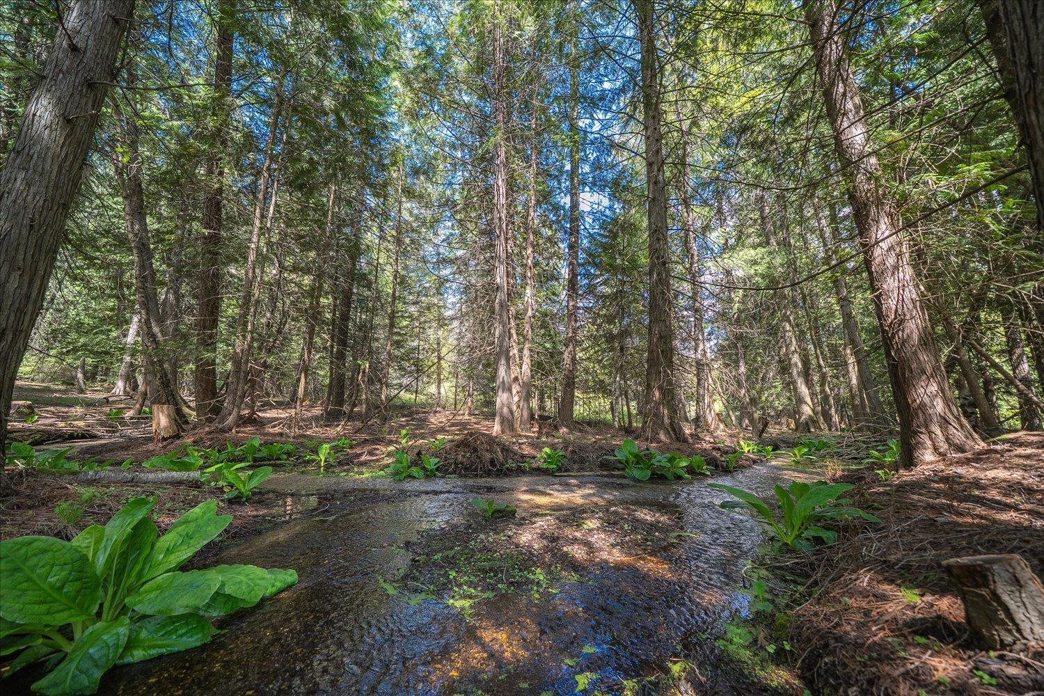 1601 E Eloika Lake Rd - Photo 44
