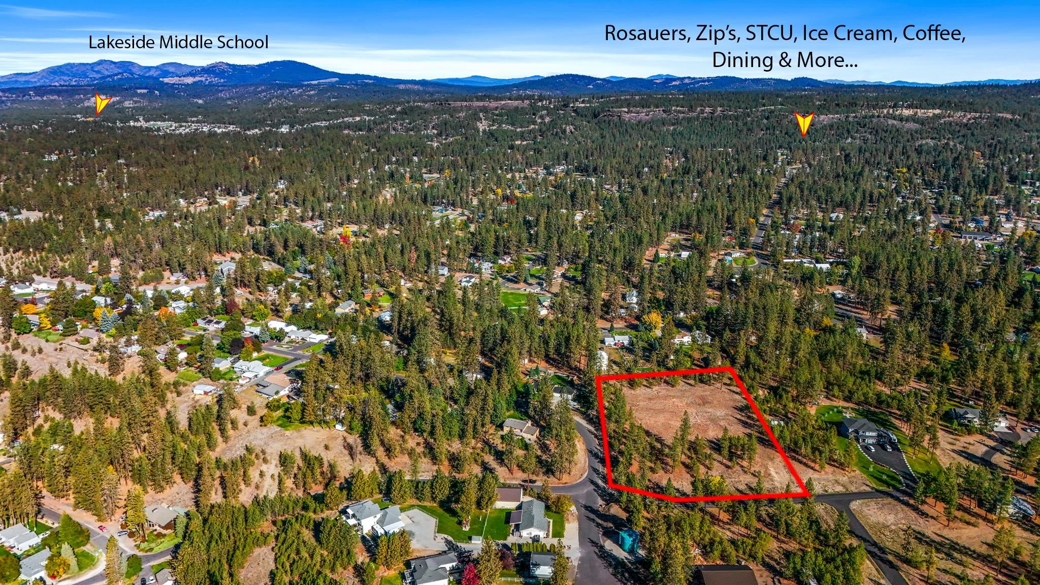 12321 Quail Run Way - Photo 7
