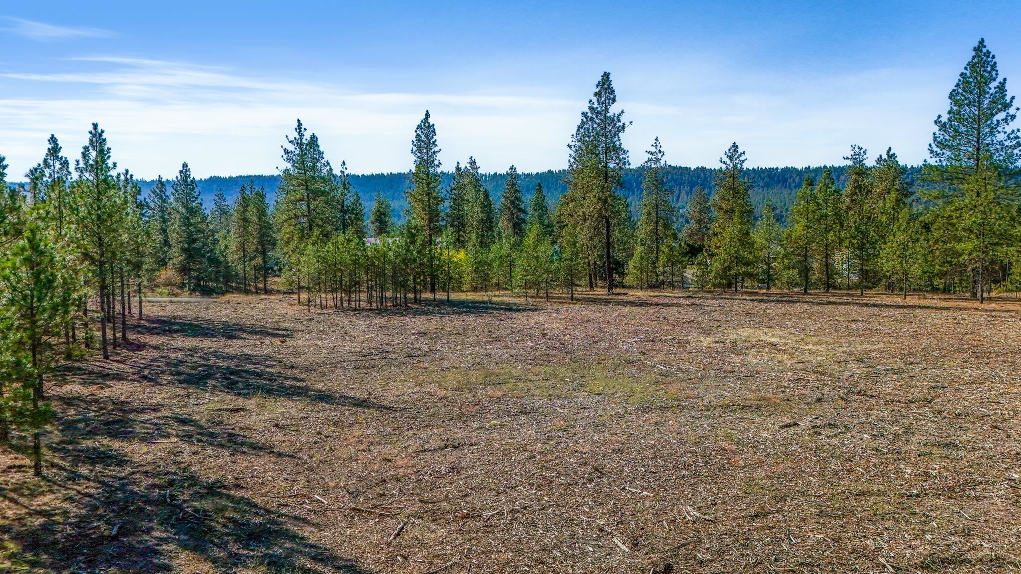 12321 Quail Run Way - Photo 18