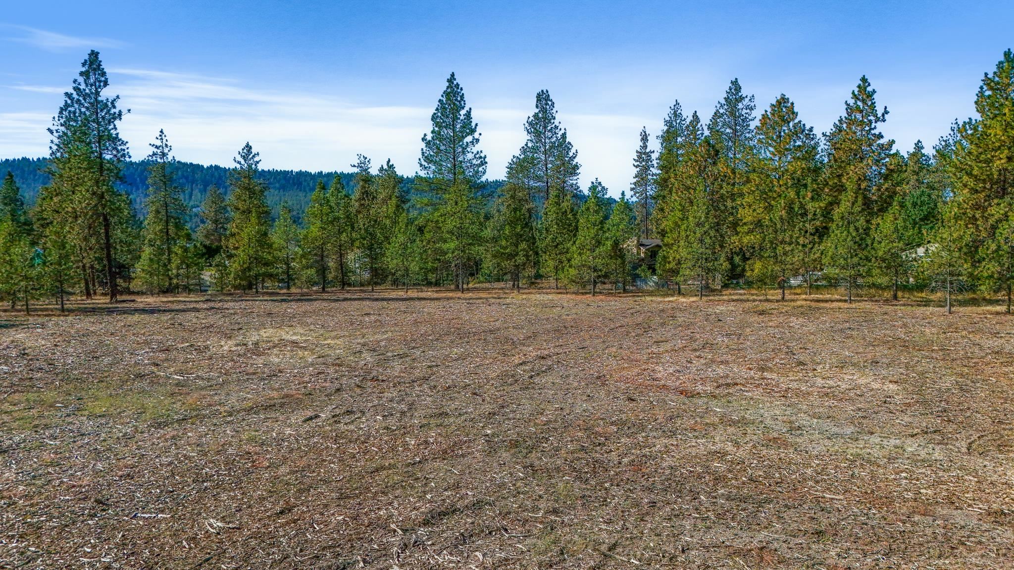 12321 Quail Run Way - Photo 19