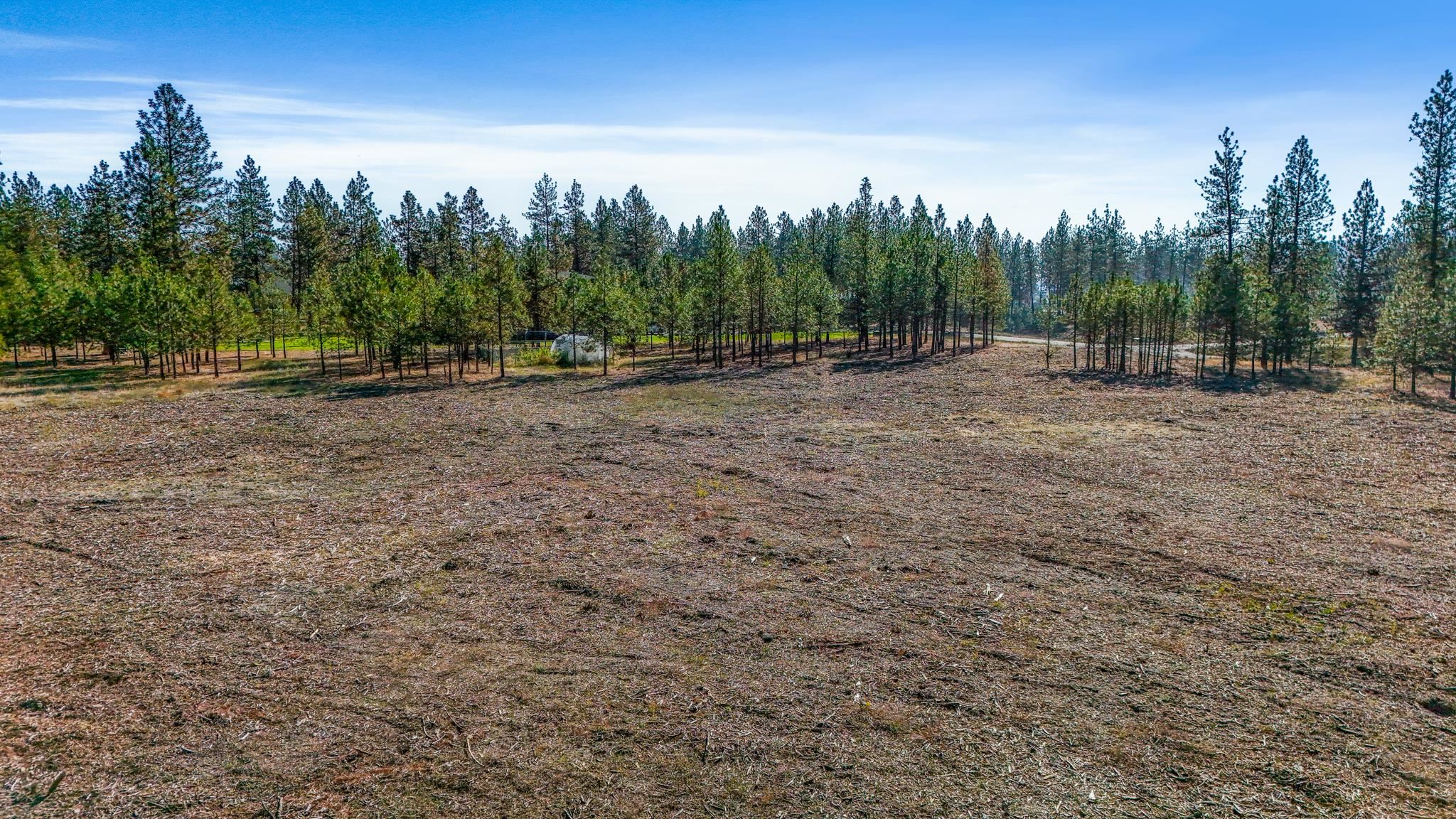 12321 Quail Run Way - Photo 20