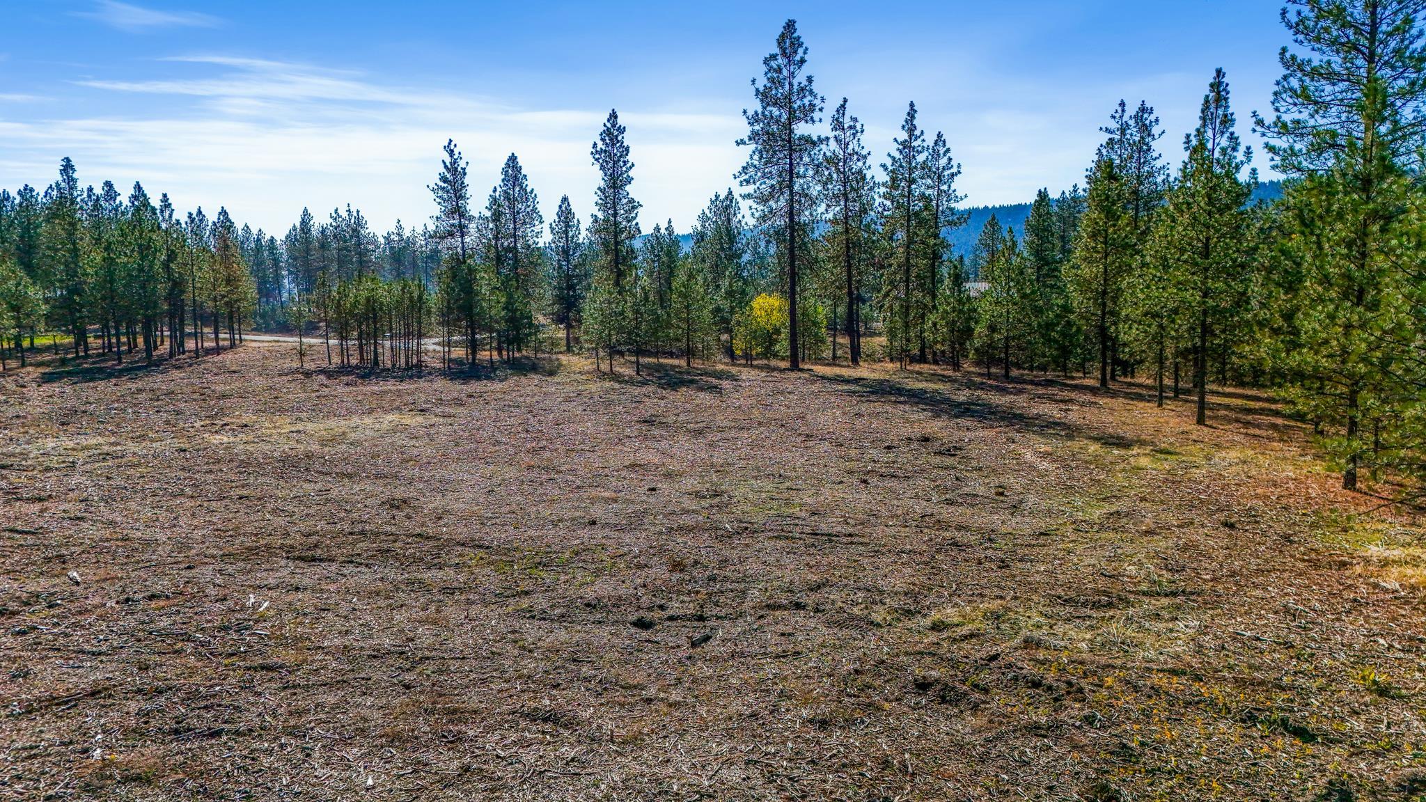 12321 Quail Run Way - Photo 21
