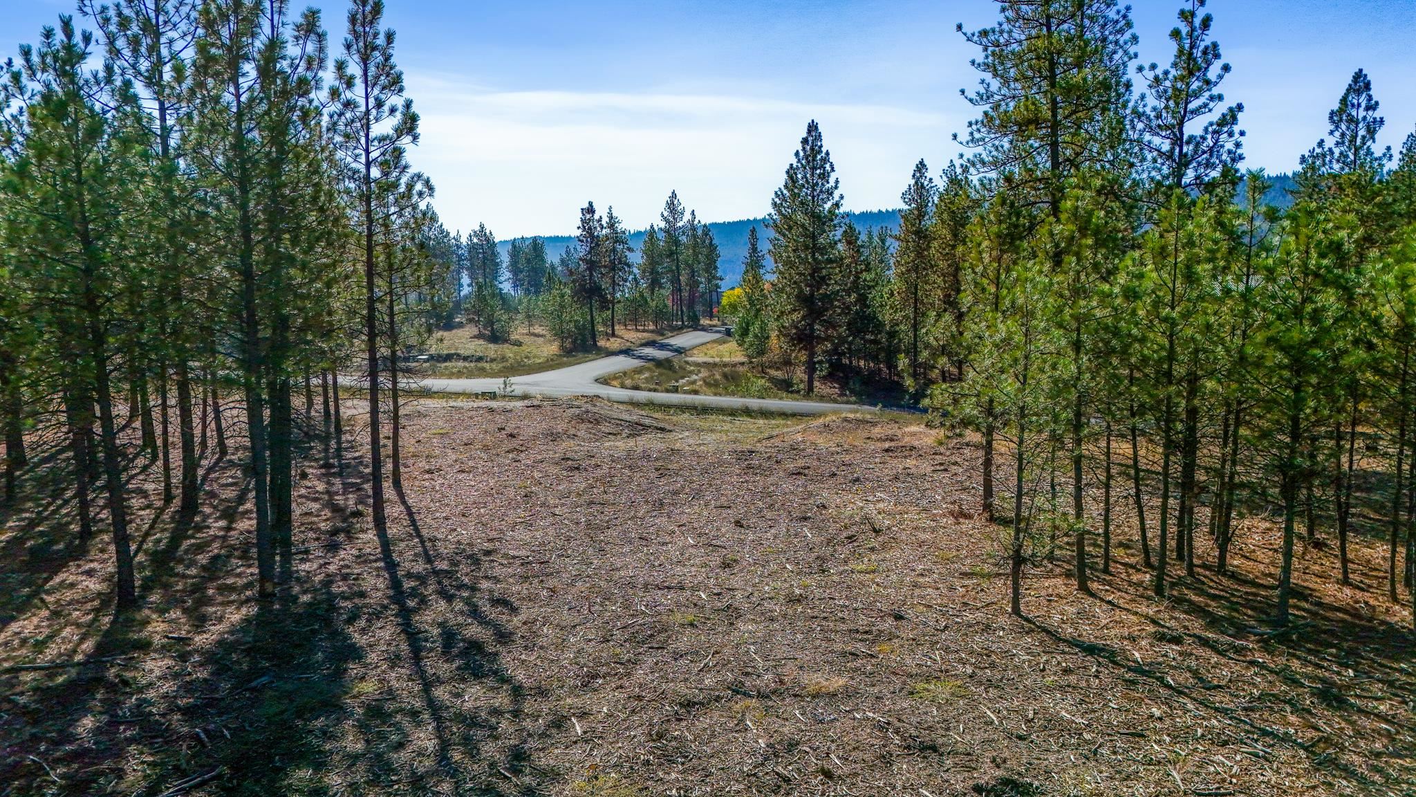12321 Quail Run Way - Photo 22