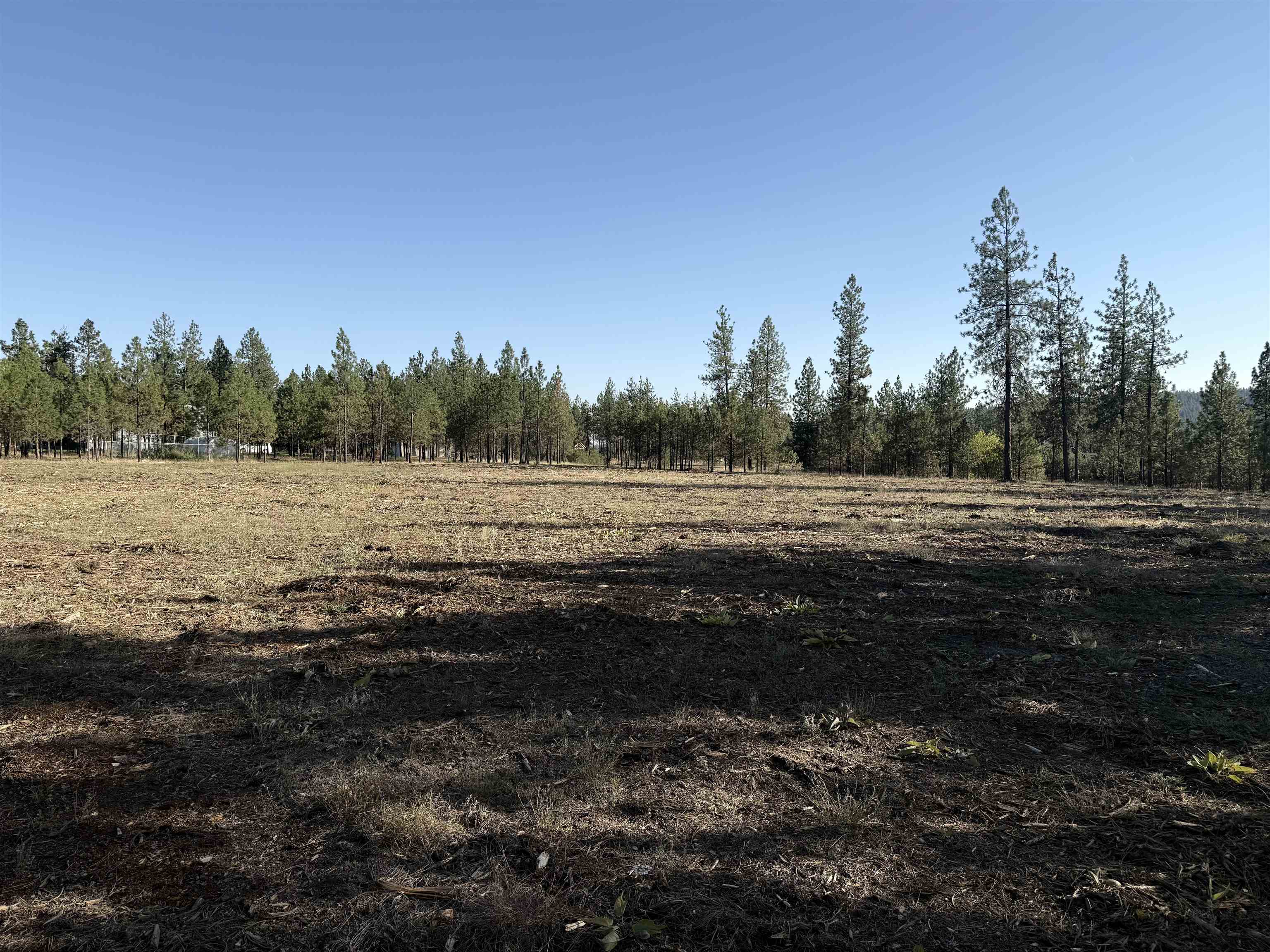 12321 Quail Run Way - Photo 30