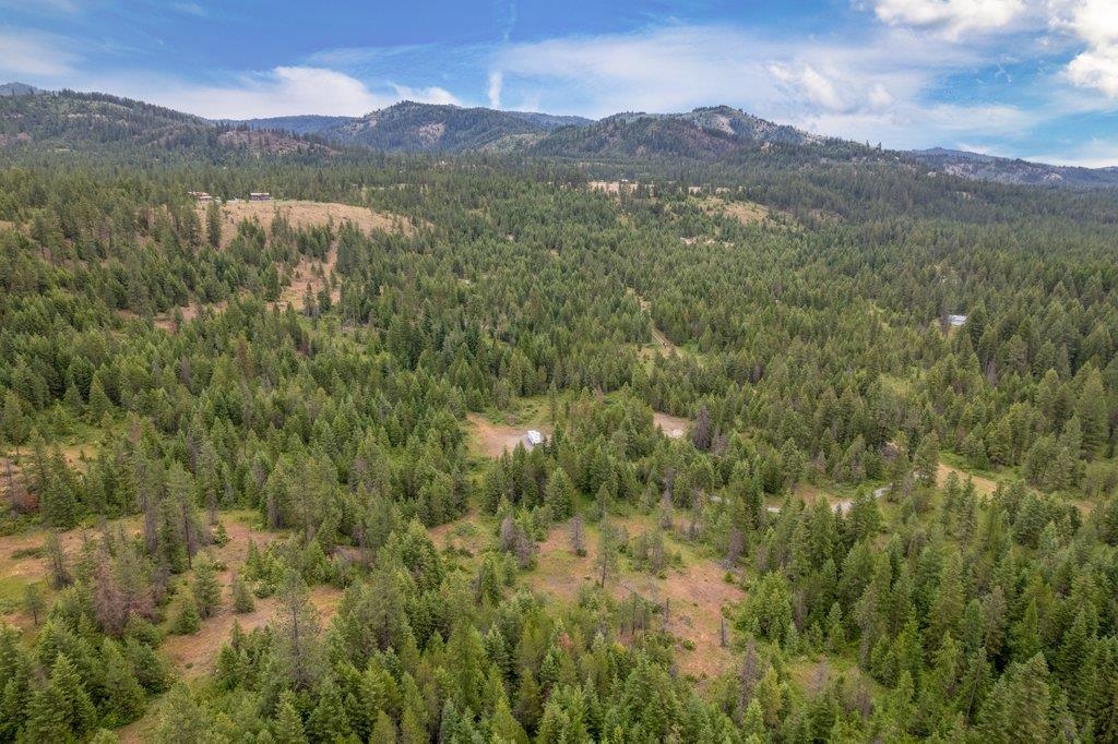 1456 & 1460 Misty Ridge Ln - Photo 38
