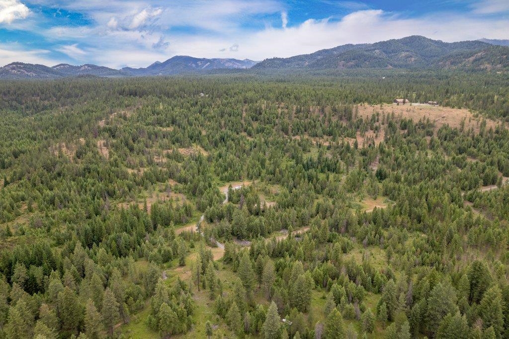 1456 & 1460 Misty Ridge Ln - Photo 47