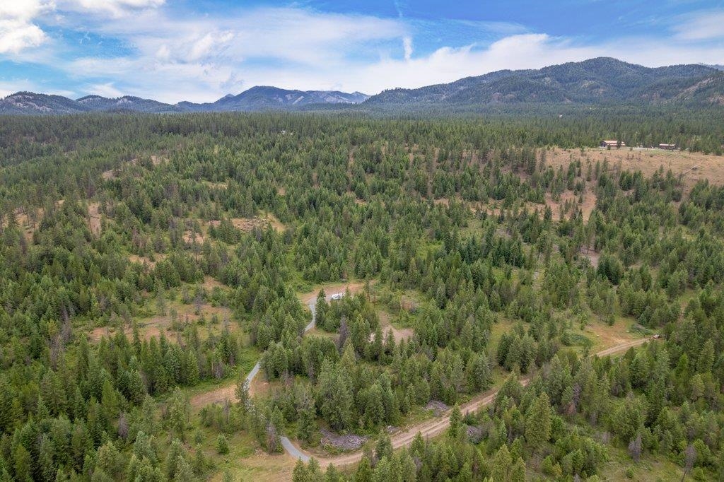 1456 & 1460 Misty Ridge Ln - Photo 43