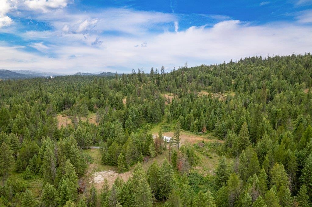 1456 & 1460 Misty Ridge Ln - Photo 46