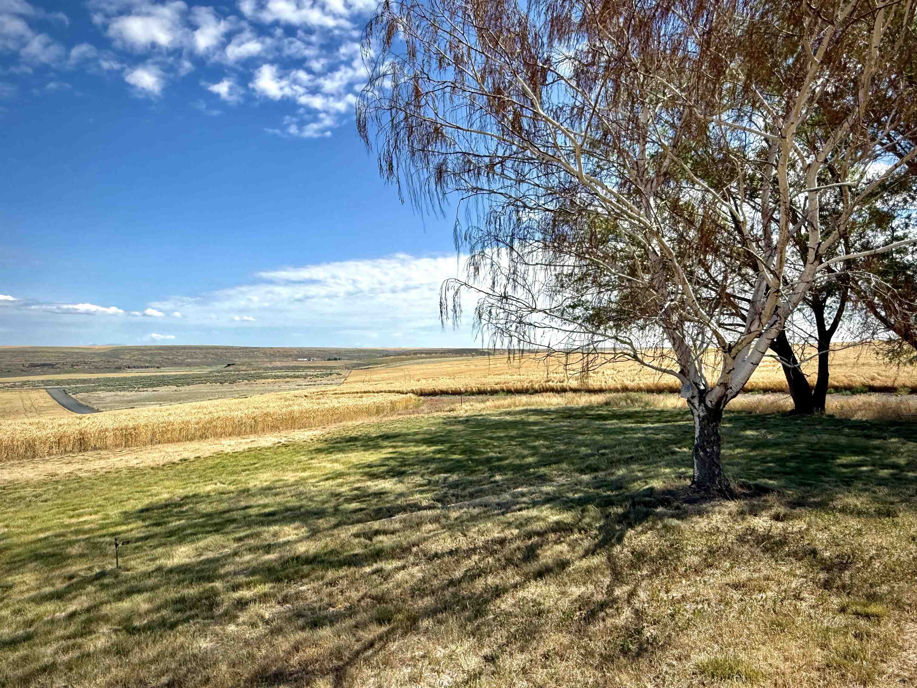 7603 N Coyote Heights Rd - Photo 10
