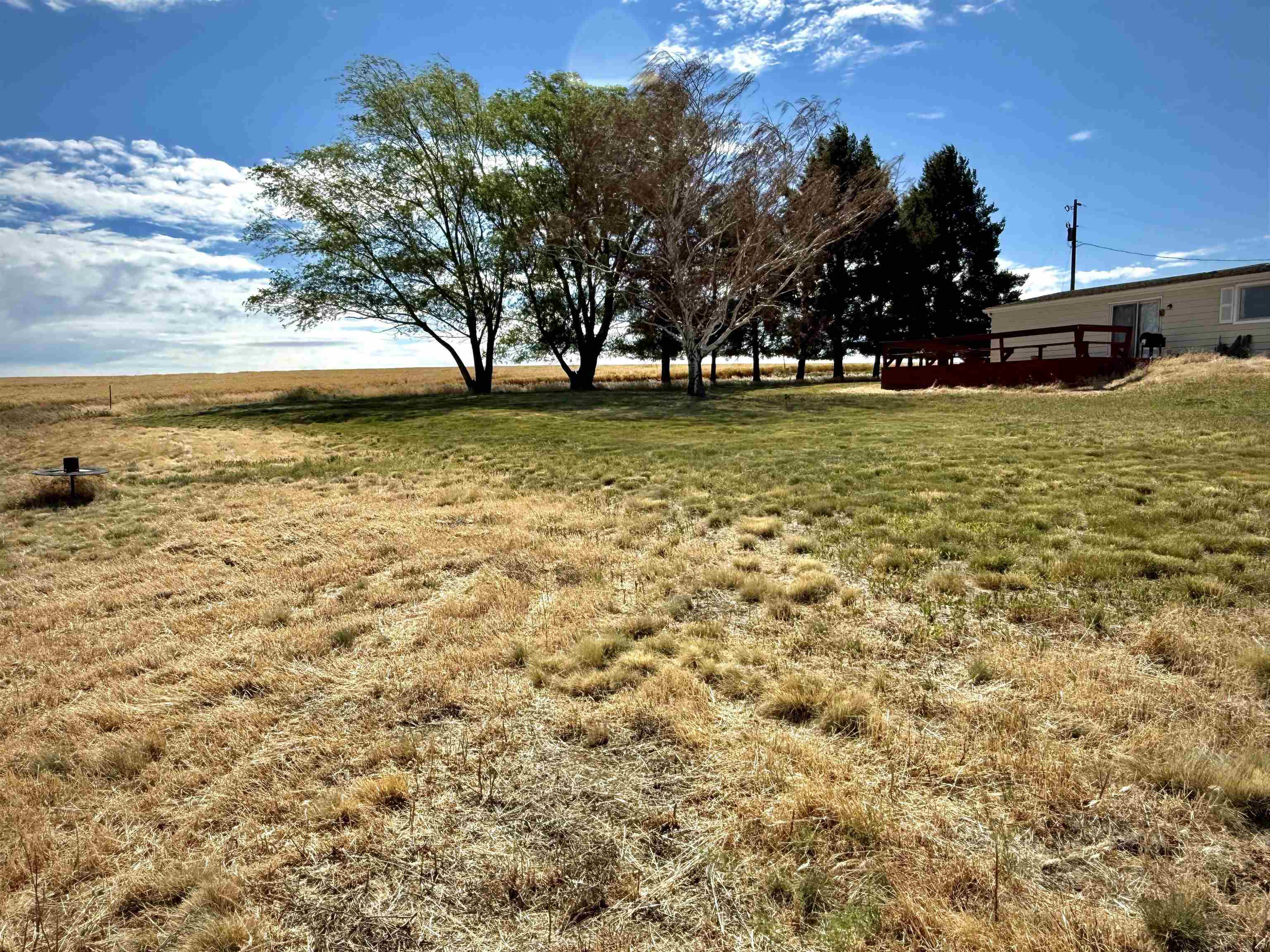 7603 N Coyote Heights Rd - Photo 13