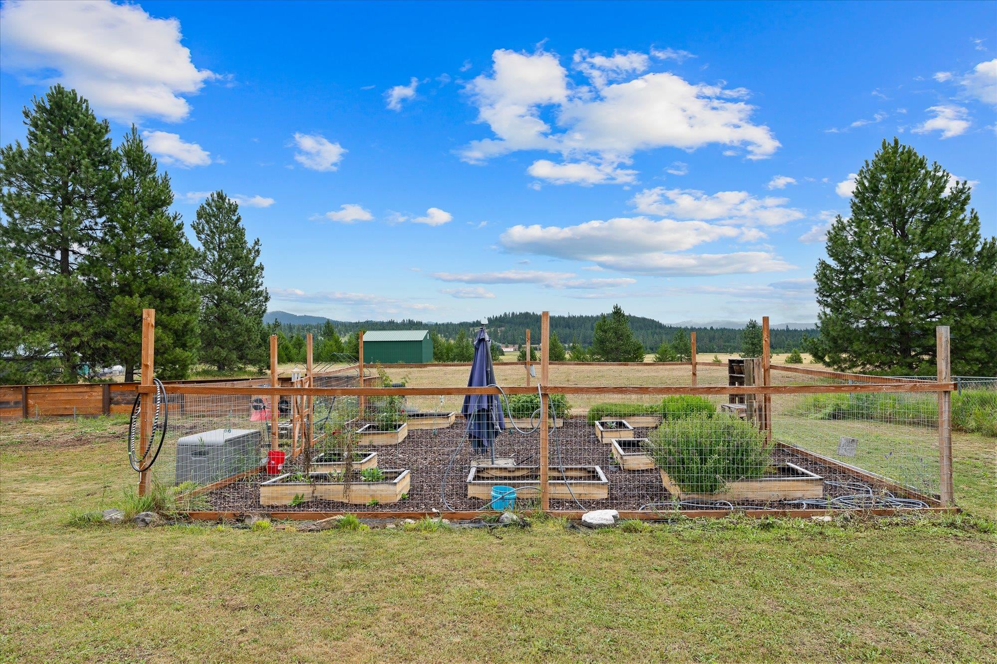 171 Open Skies Rd - Photo 18