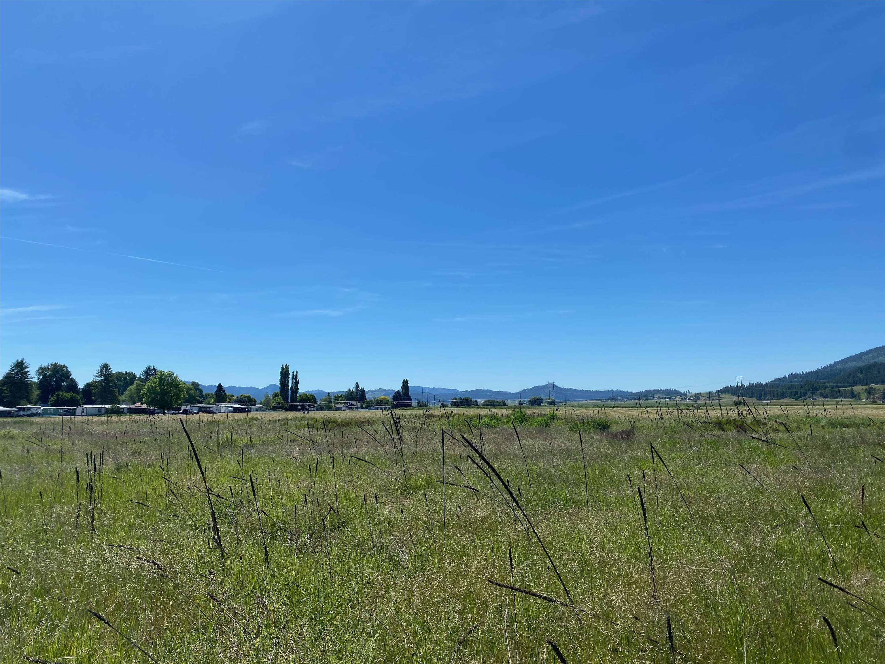 13xx Indian Springs Trl - Photo 2