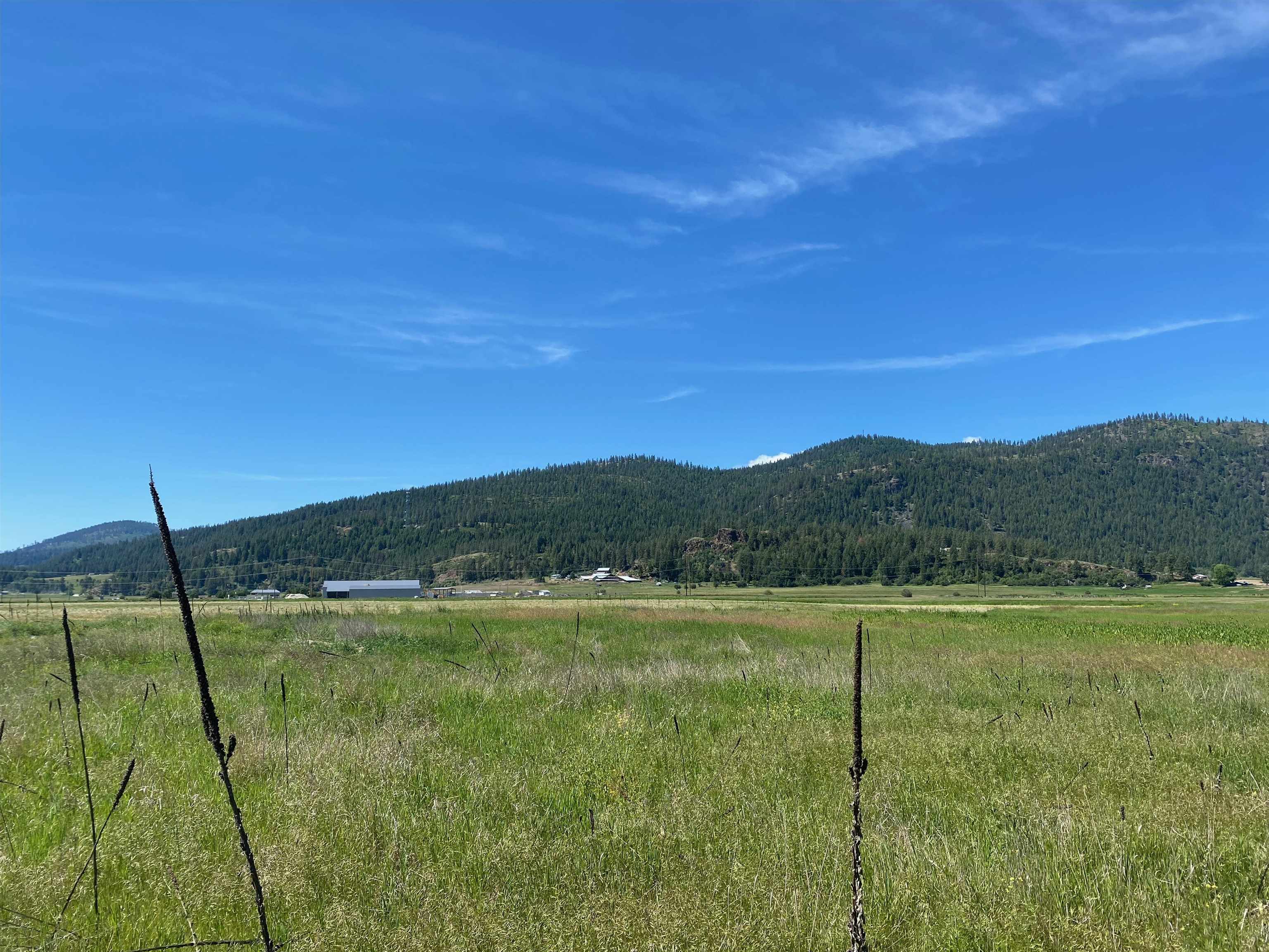 13xx Indian Springs Trl - Photo 3