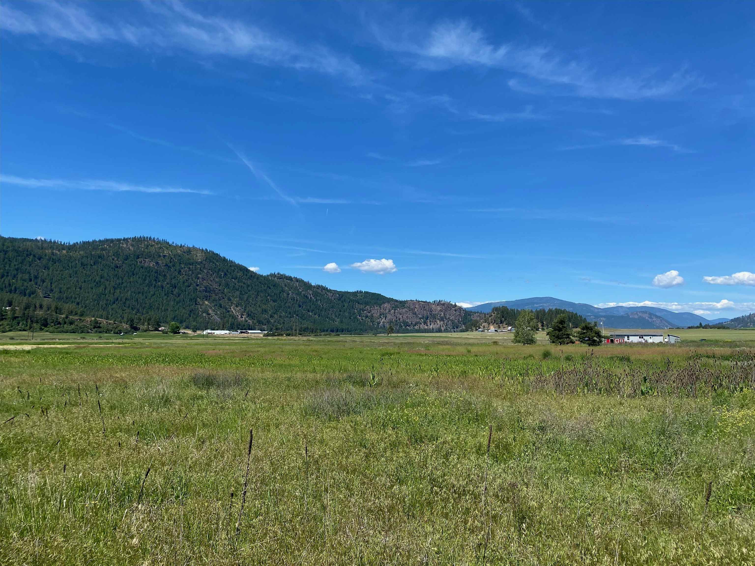 13xx Indian Springs Trl - Photo 4