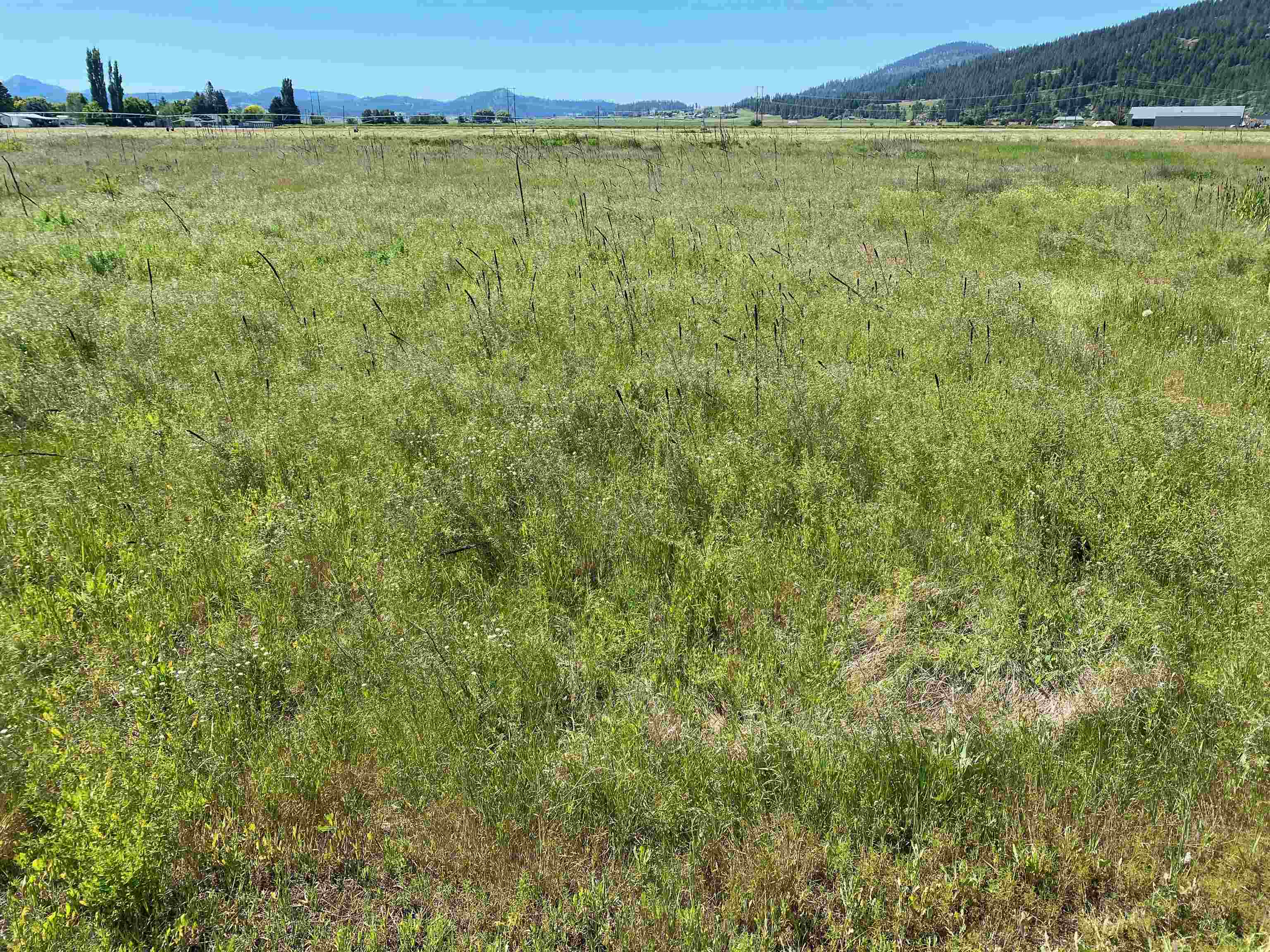 13xx Indian Springs Trl - Photo 6