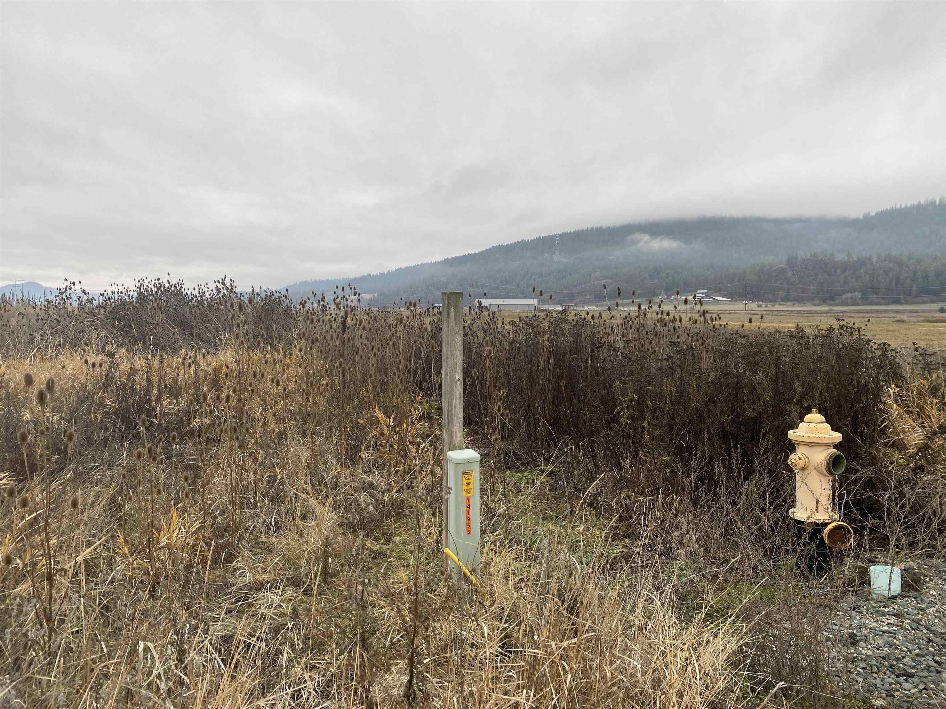13xx Indian Springs Trl - Photo 9