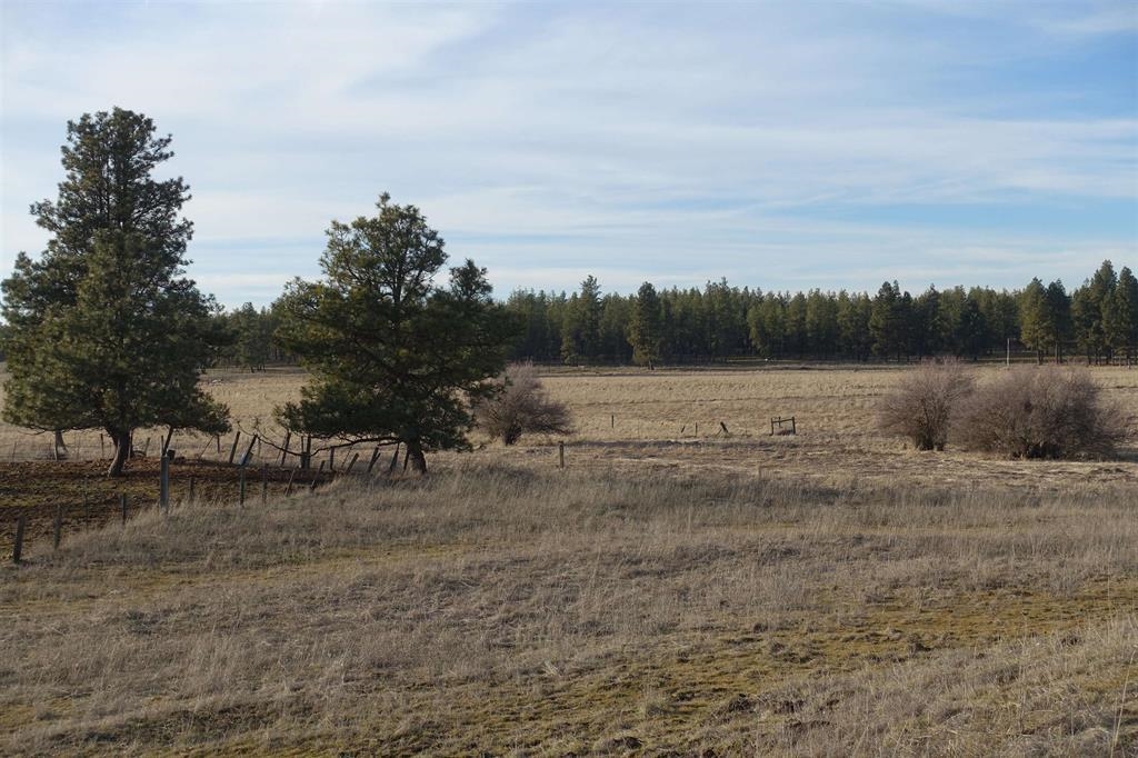 20xxx S Parker Rd - Photo 1