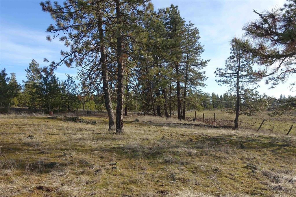 20xxx S Parker Rd - Photo 2