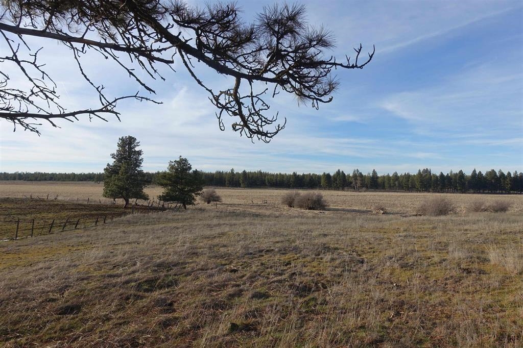 20xxx S Parker Rd - Photo 3