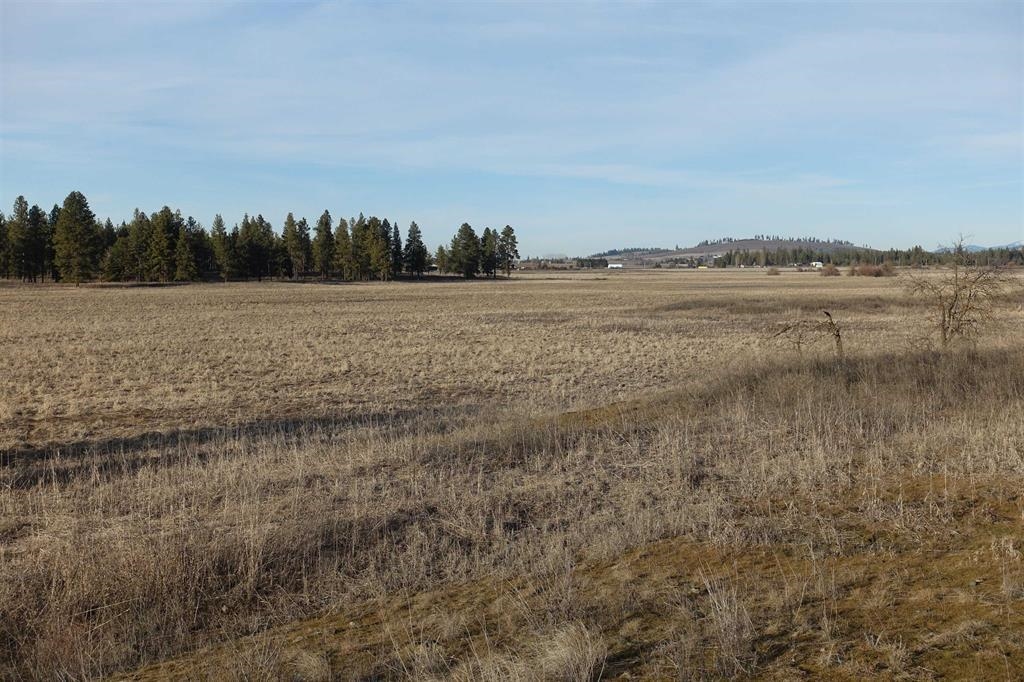 20xxx S Parker Rd - Photo 4