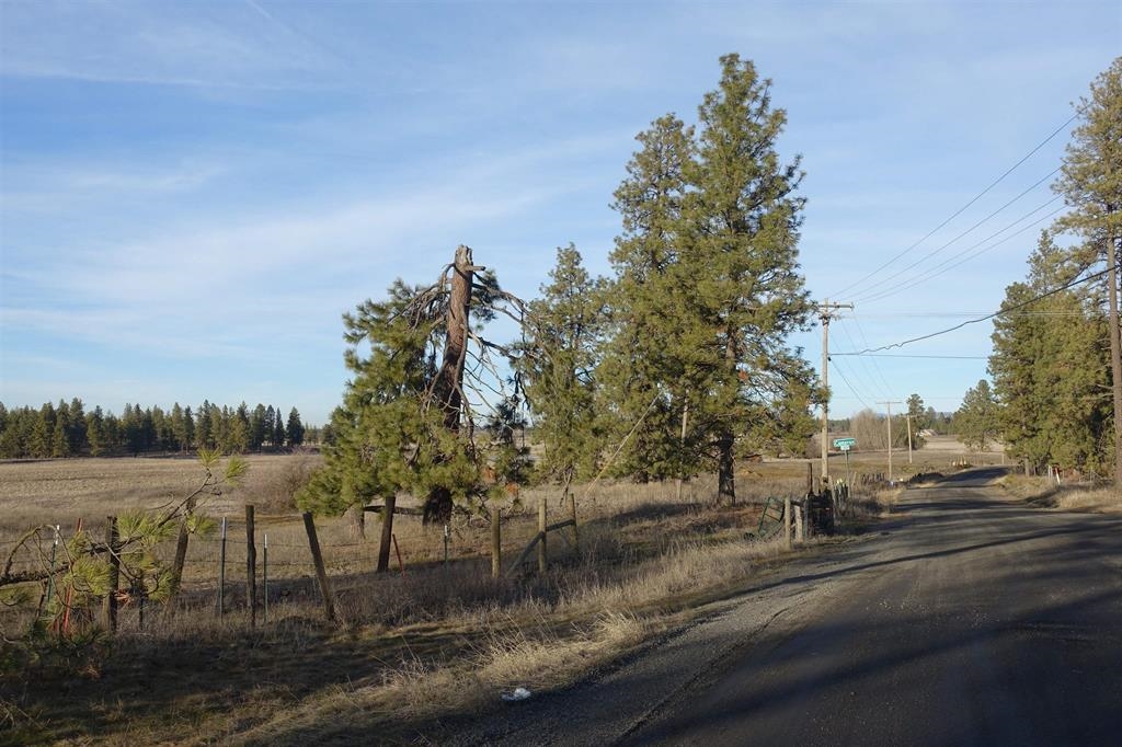 20xxx S Parker Rd - Photo 5