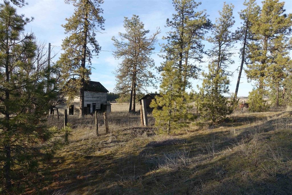 20xxx S Parker Rd - Photo 6