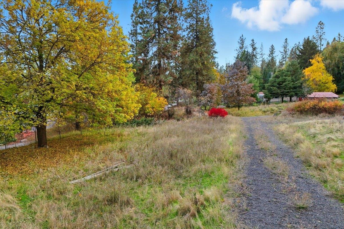 7507 N Country Homes Blvd - Photo 1