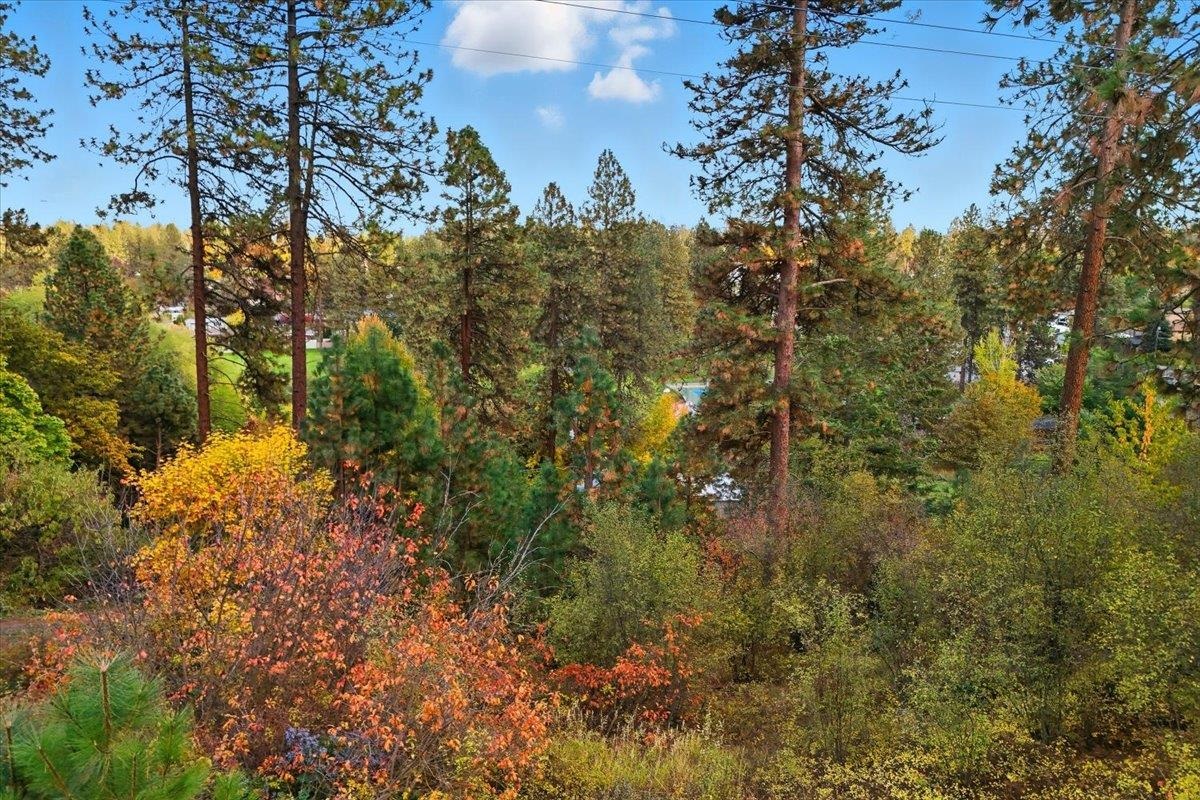 7507 N Country Homes Blvd - Photo 7