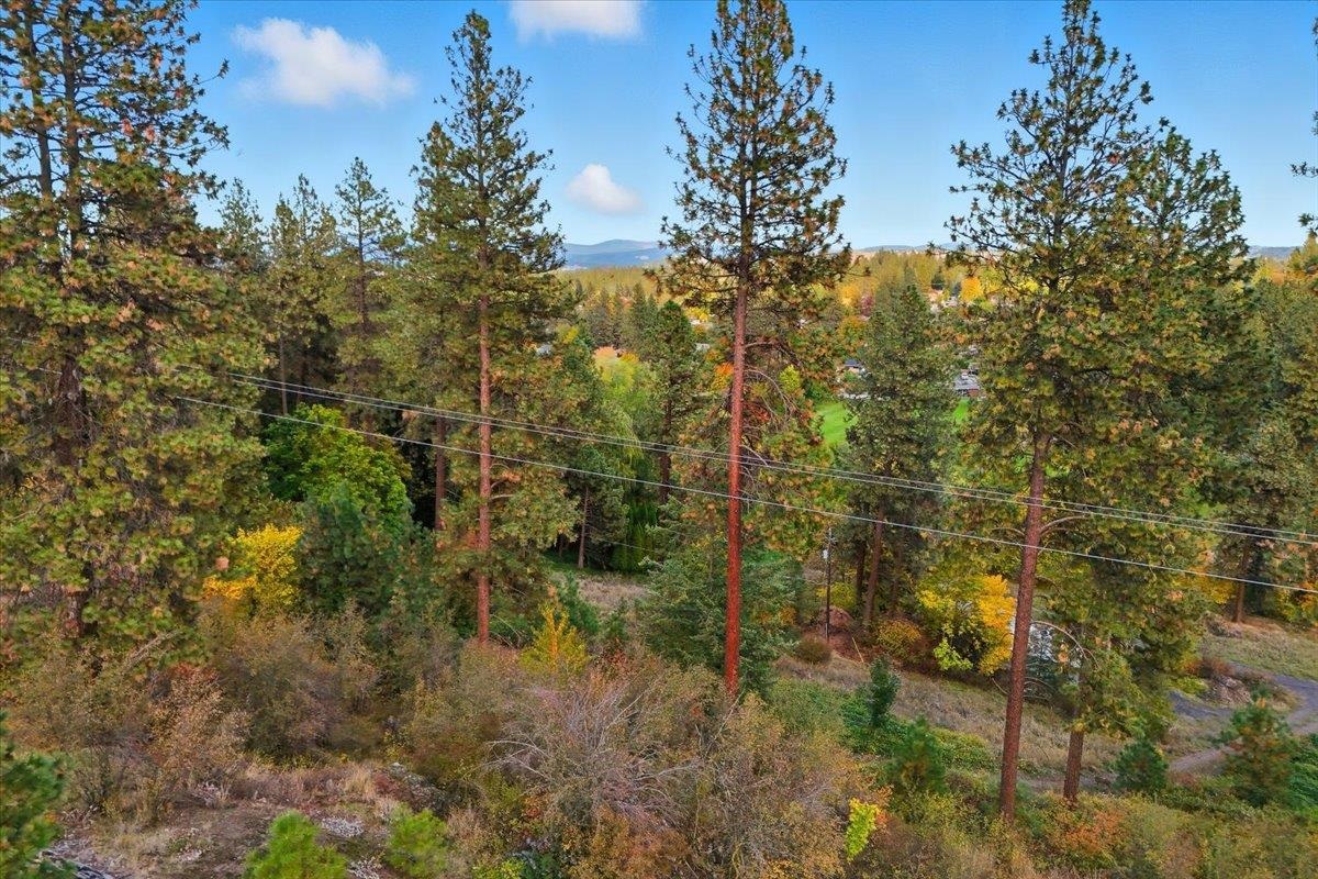 7507 N Country Homes Blvd - Photo 8