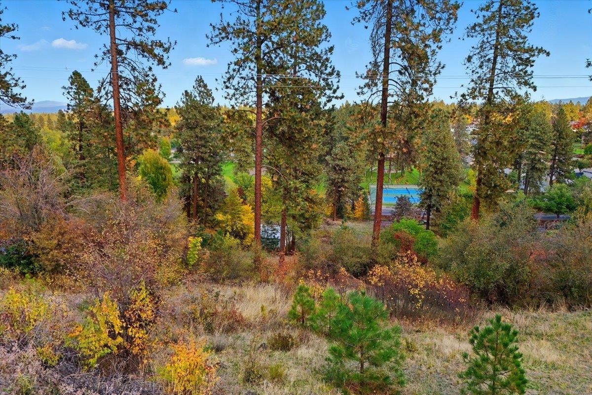 7507 N Country Homes Blvd - Photo 9