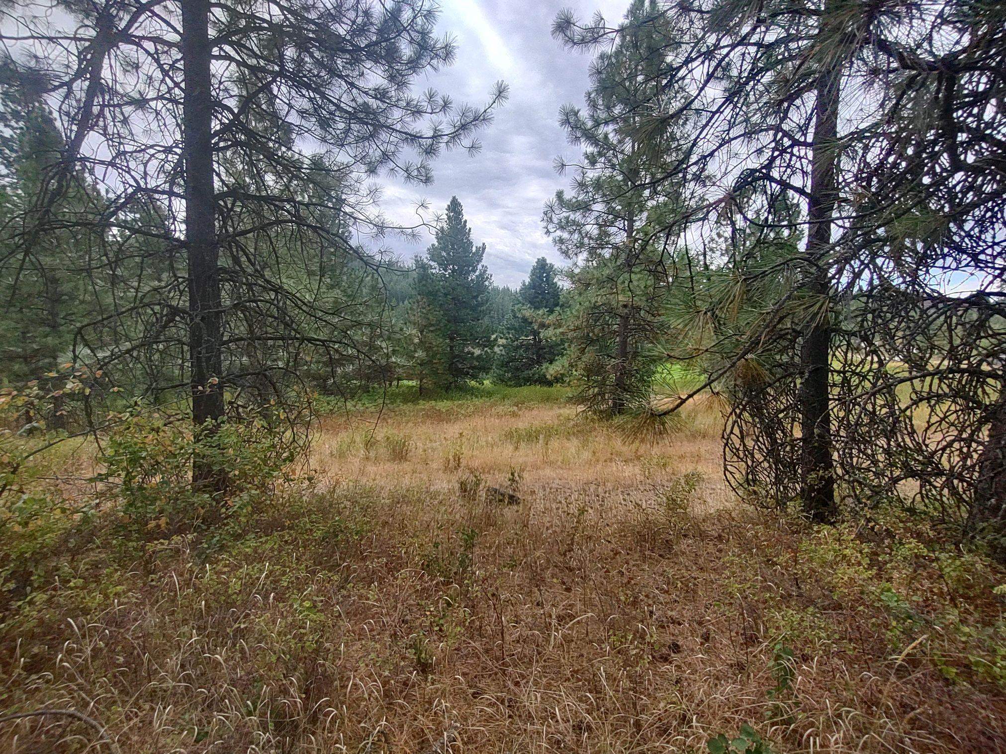 XX Little Sweden Rd - Photo 3