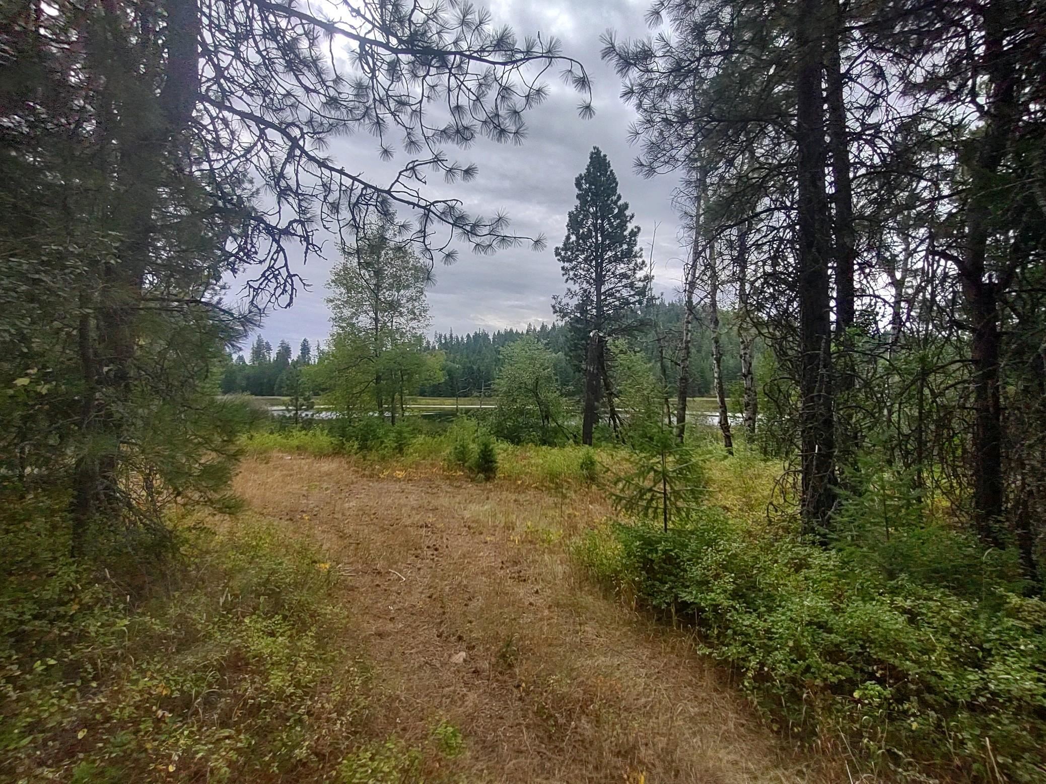XX Little Sweden Rd - Photo 4