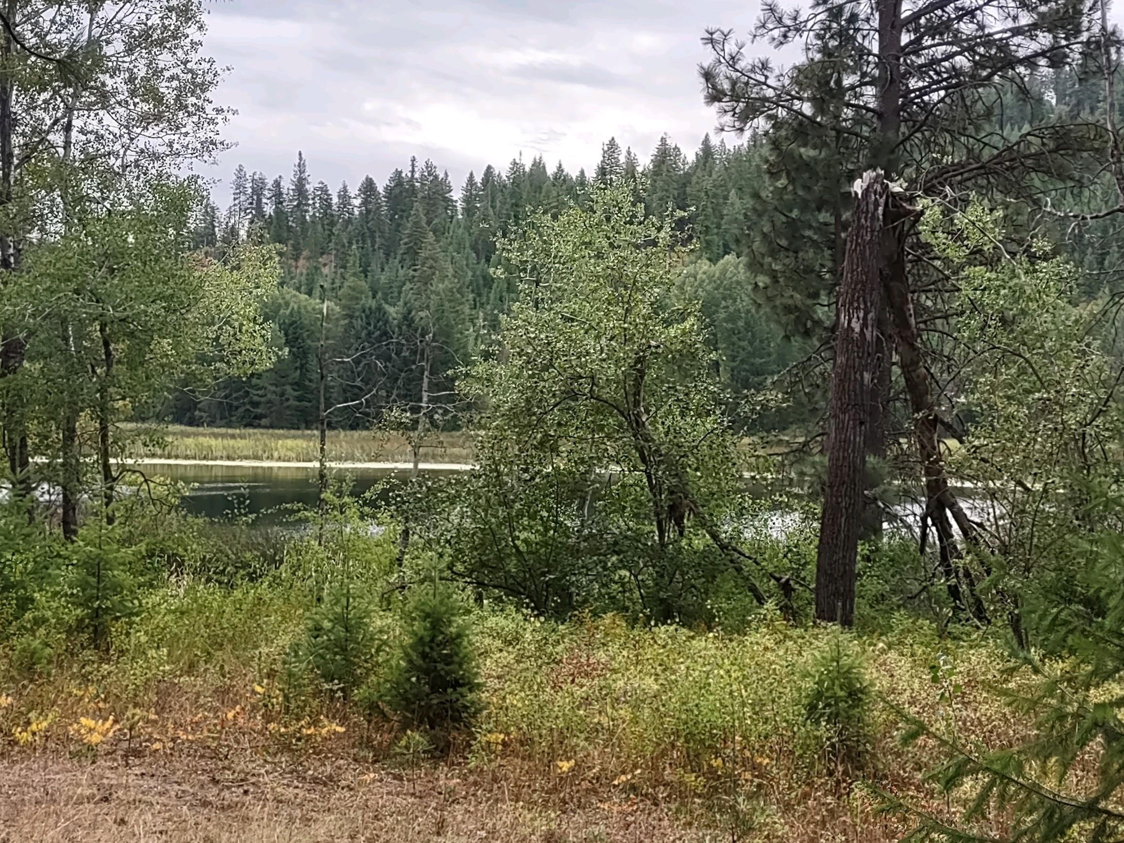 XX Little Sweden Rd - Photo 5