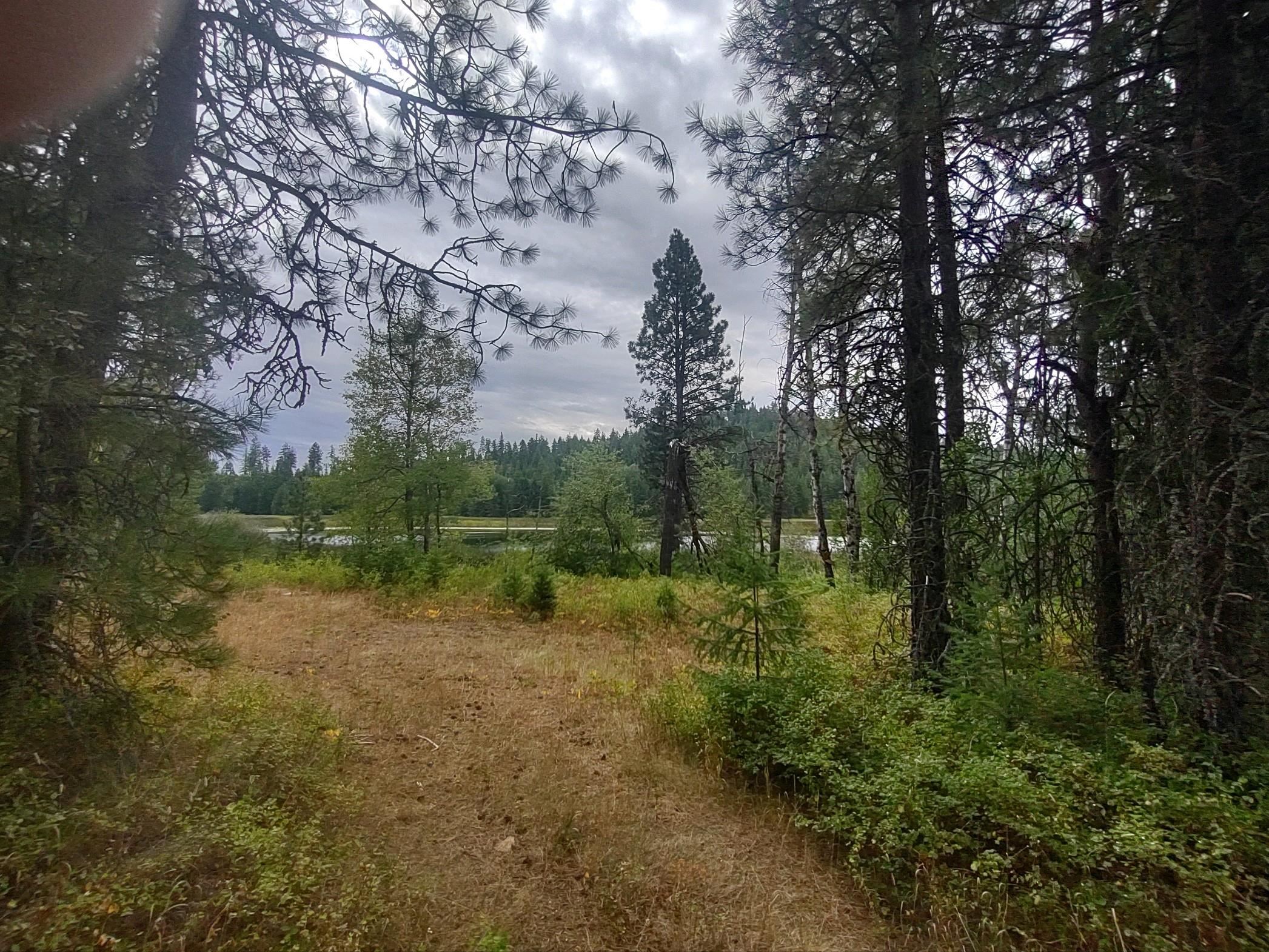 XX Little Sweden Rd - Photo 6