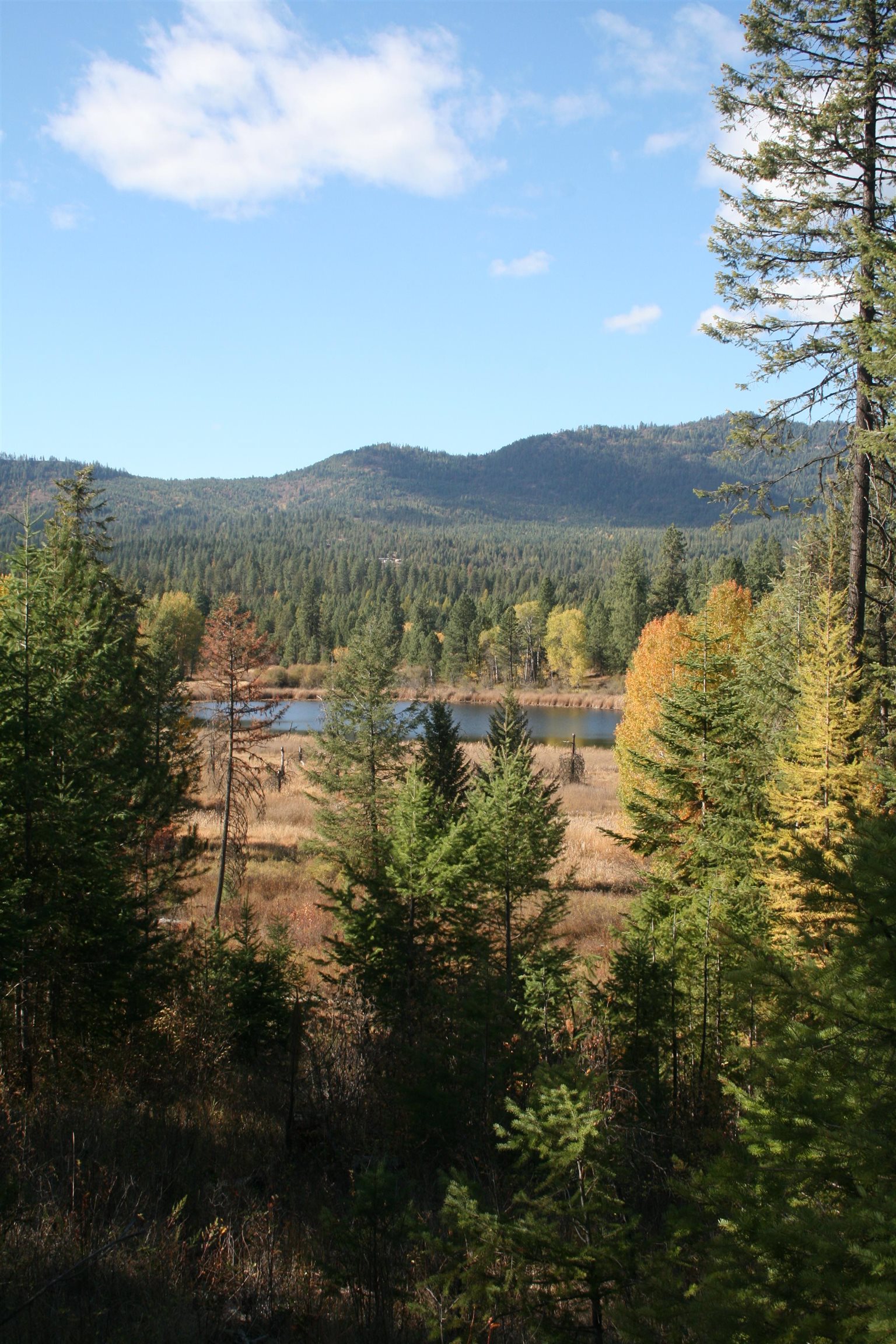 3673 Little Sweden Rd - Photo 8
