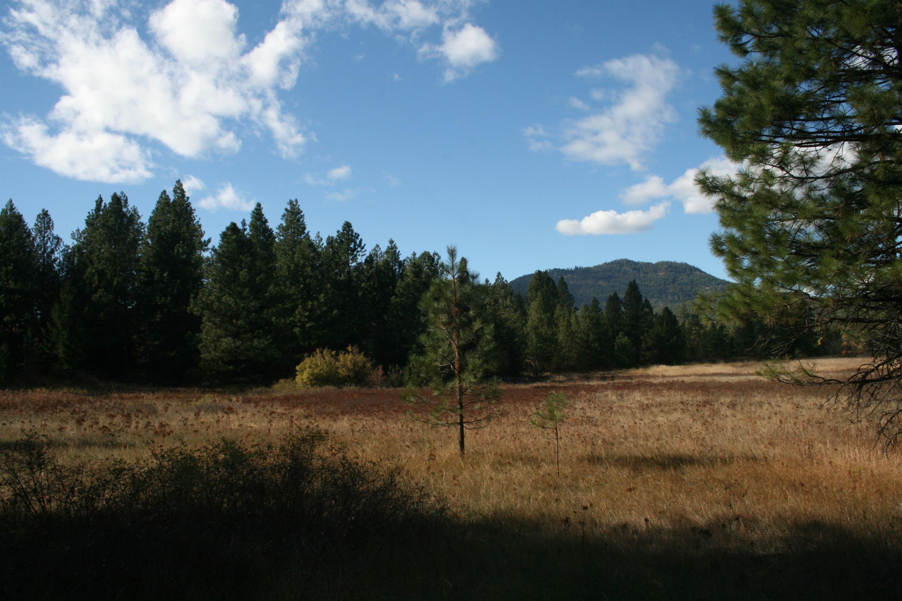 3673 Little Sweden Rd - Photo 13
