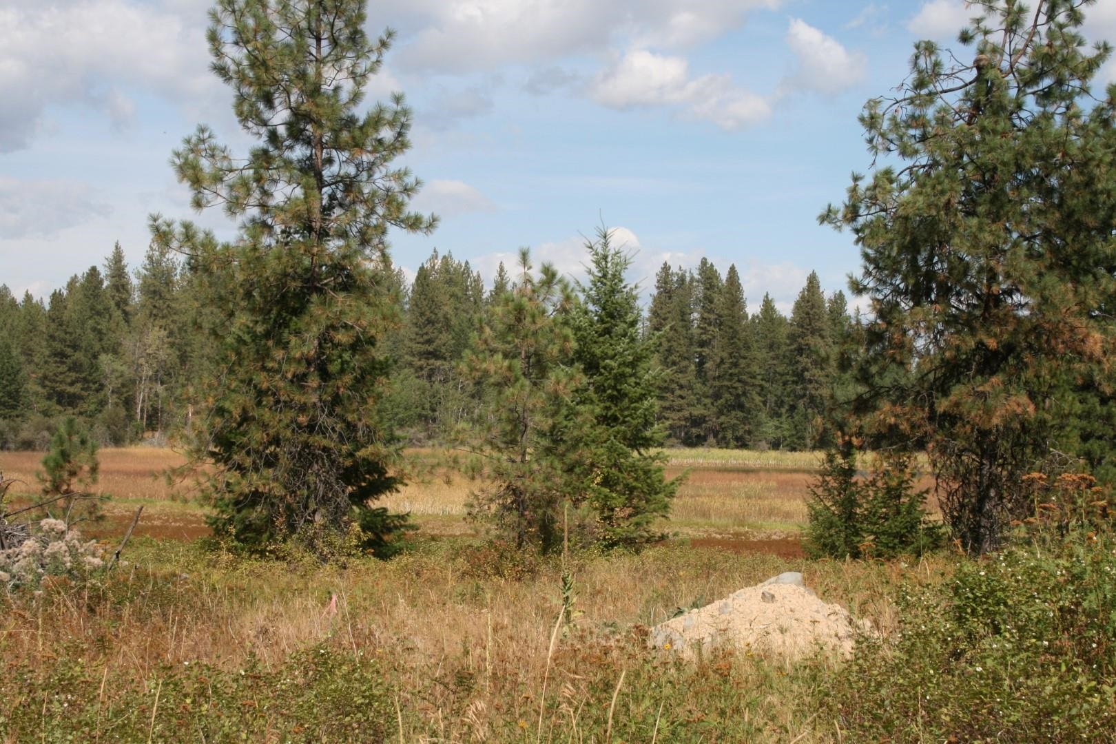 00 Little Sweden Rd - Photo 1