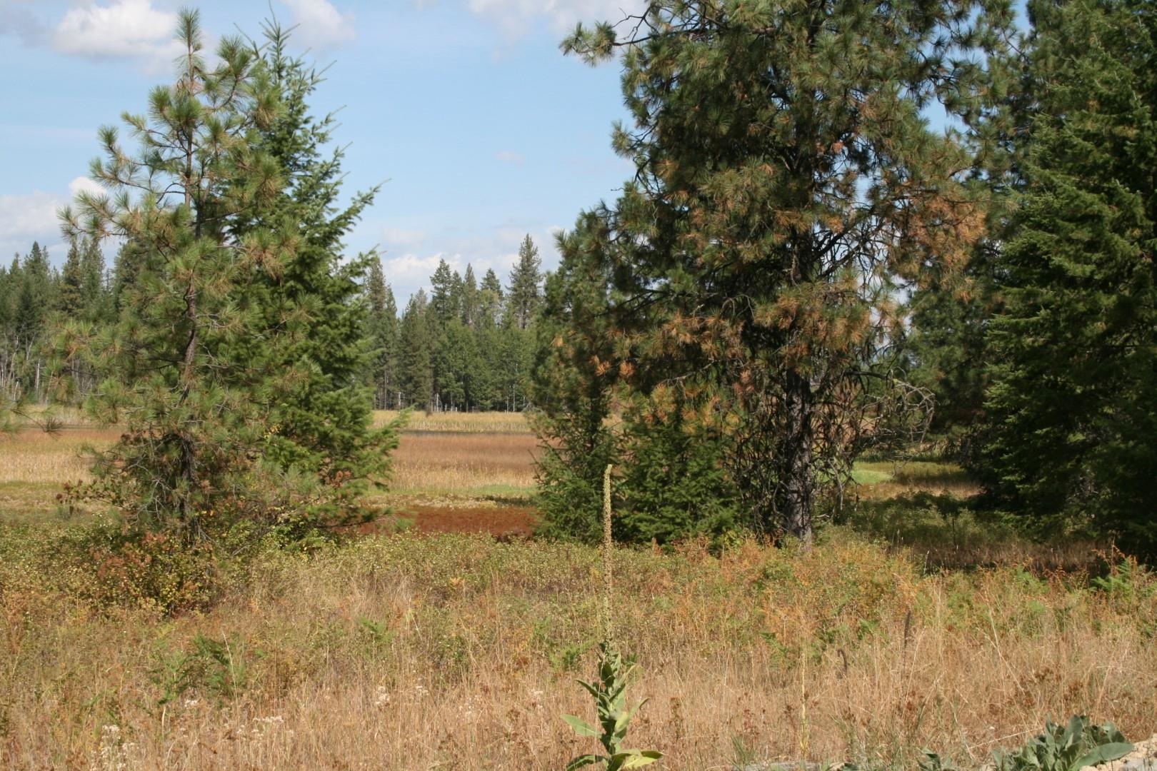 00 Little Sweden Rd - Photo 2