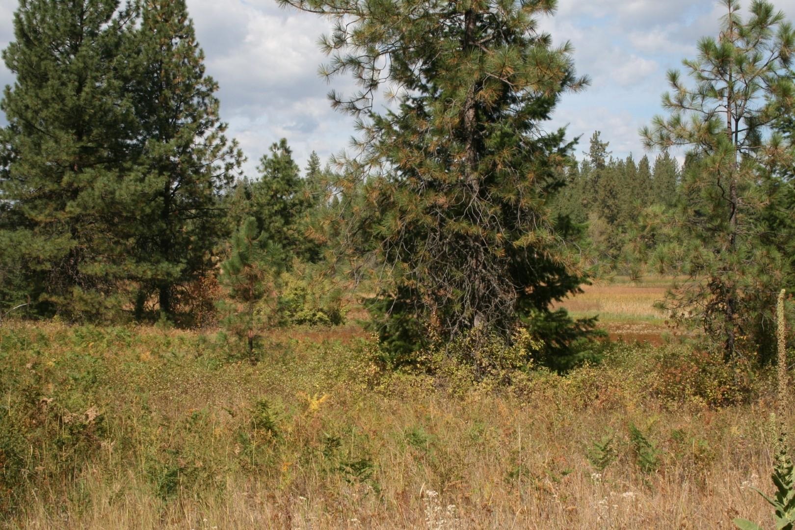 00 Little Sweden Rd - Photo 3