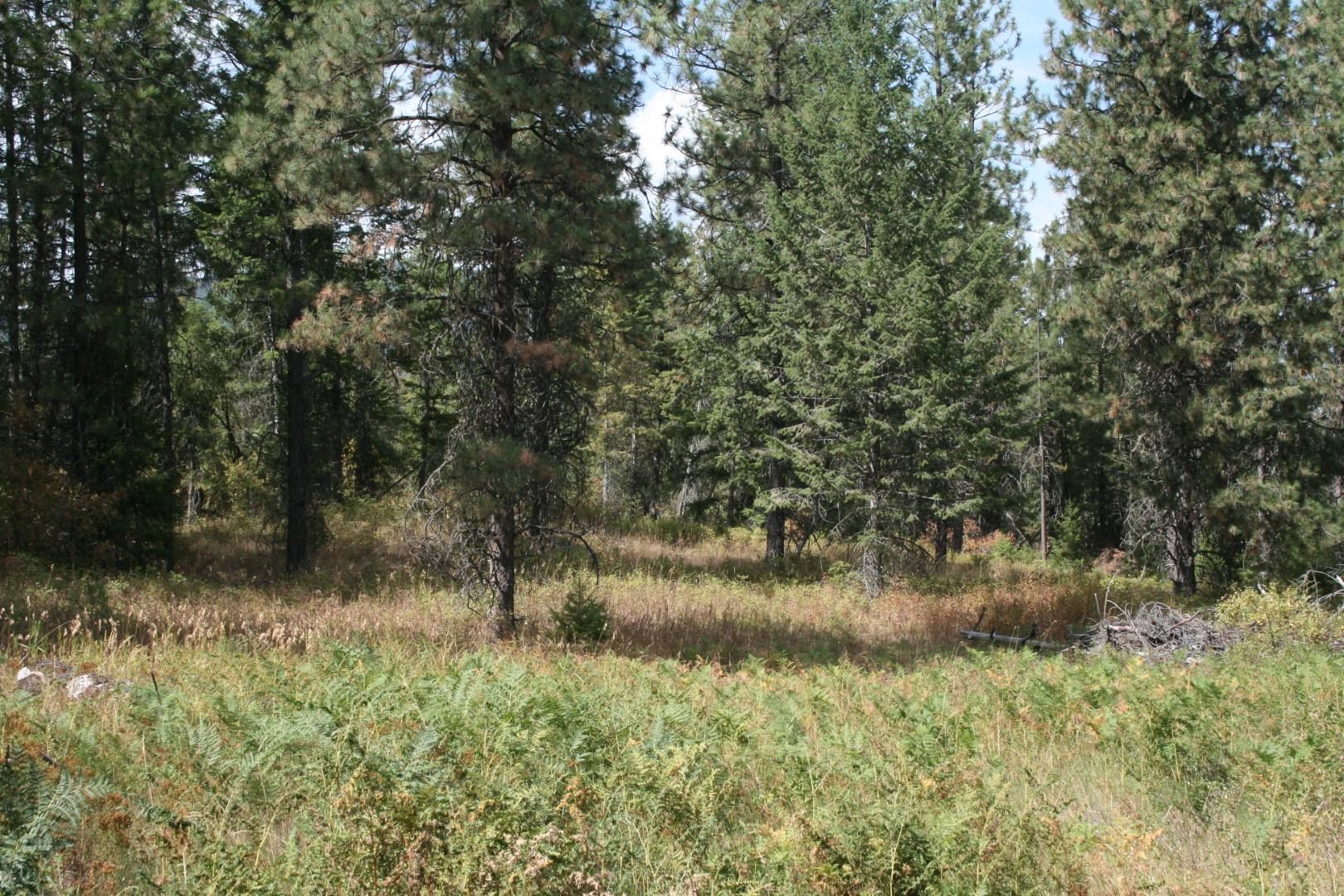 00 Little Sweden Rd - Photo 4