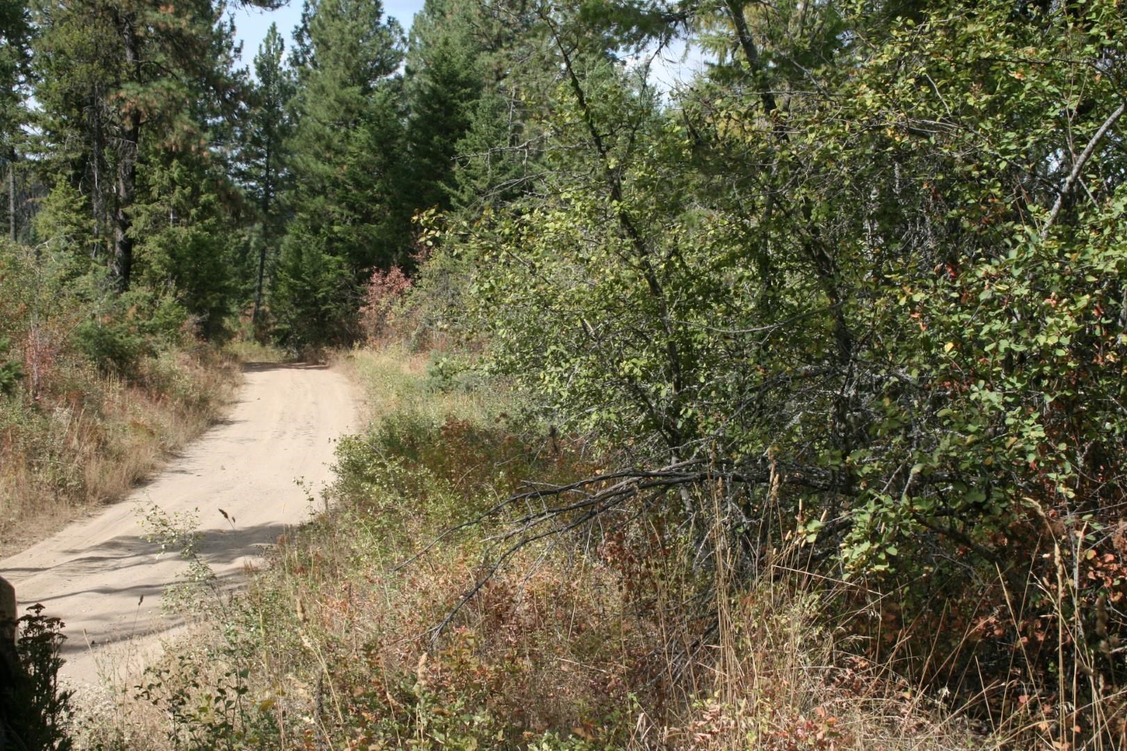 00 Little Sweden Rd - Photo 5