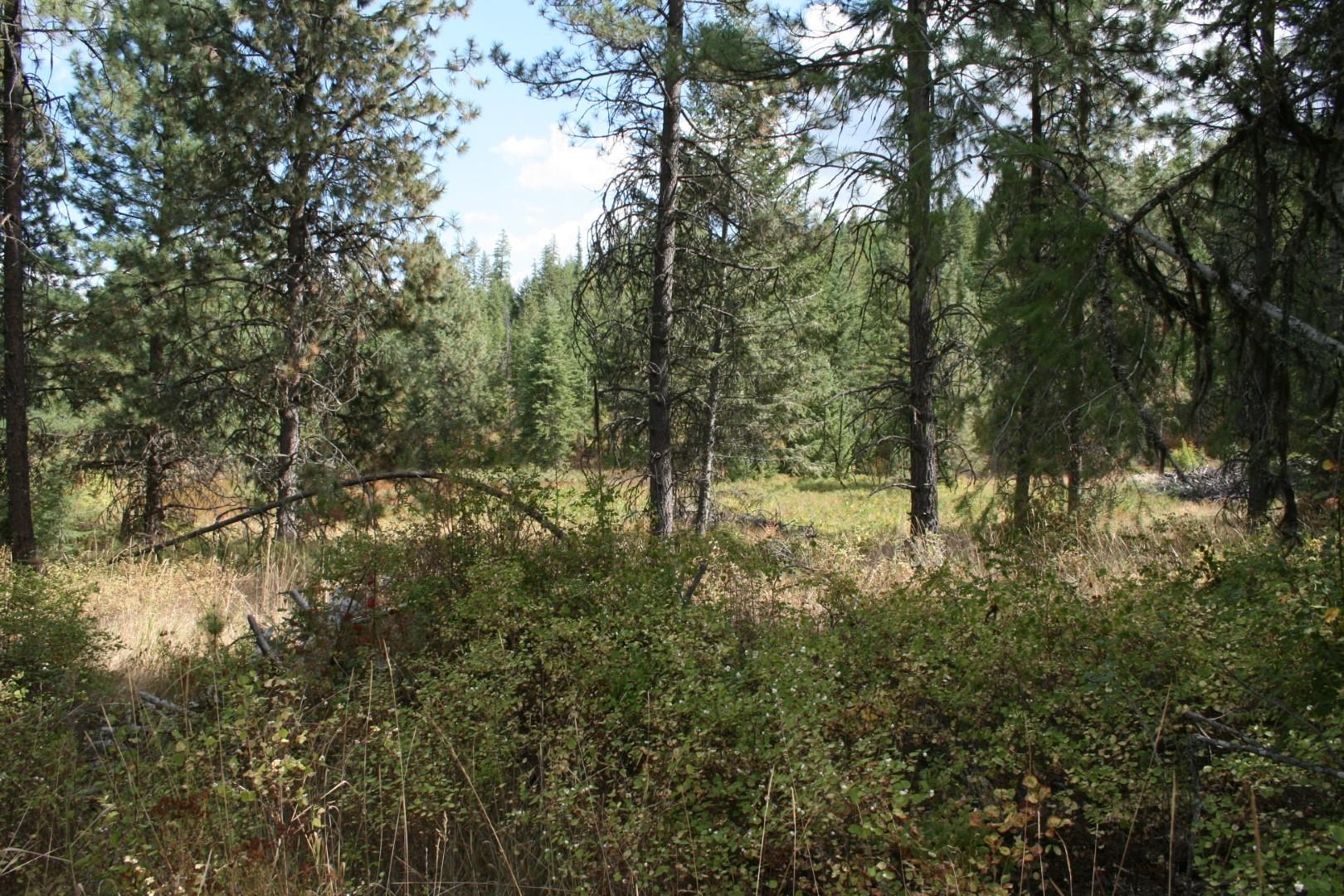 00 Little Sweden Rd - Photo 6